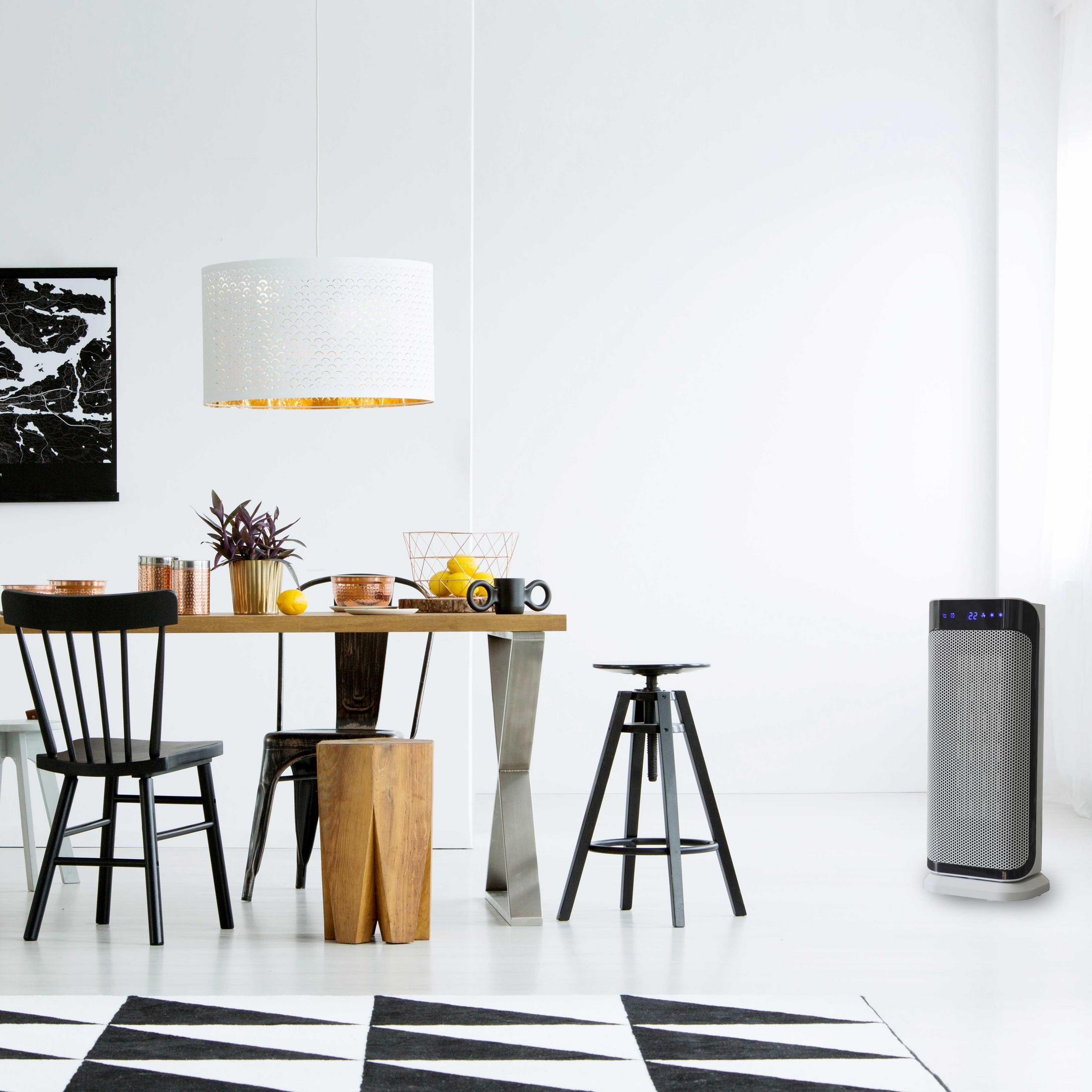 Esszimmer mit Tisch, Stühlen, schwarz-weißem Teppich und Heizung.