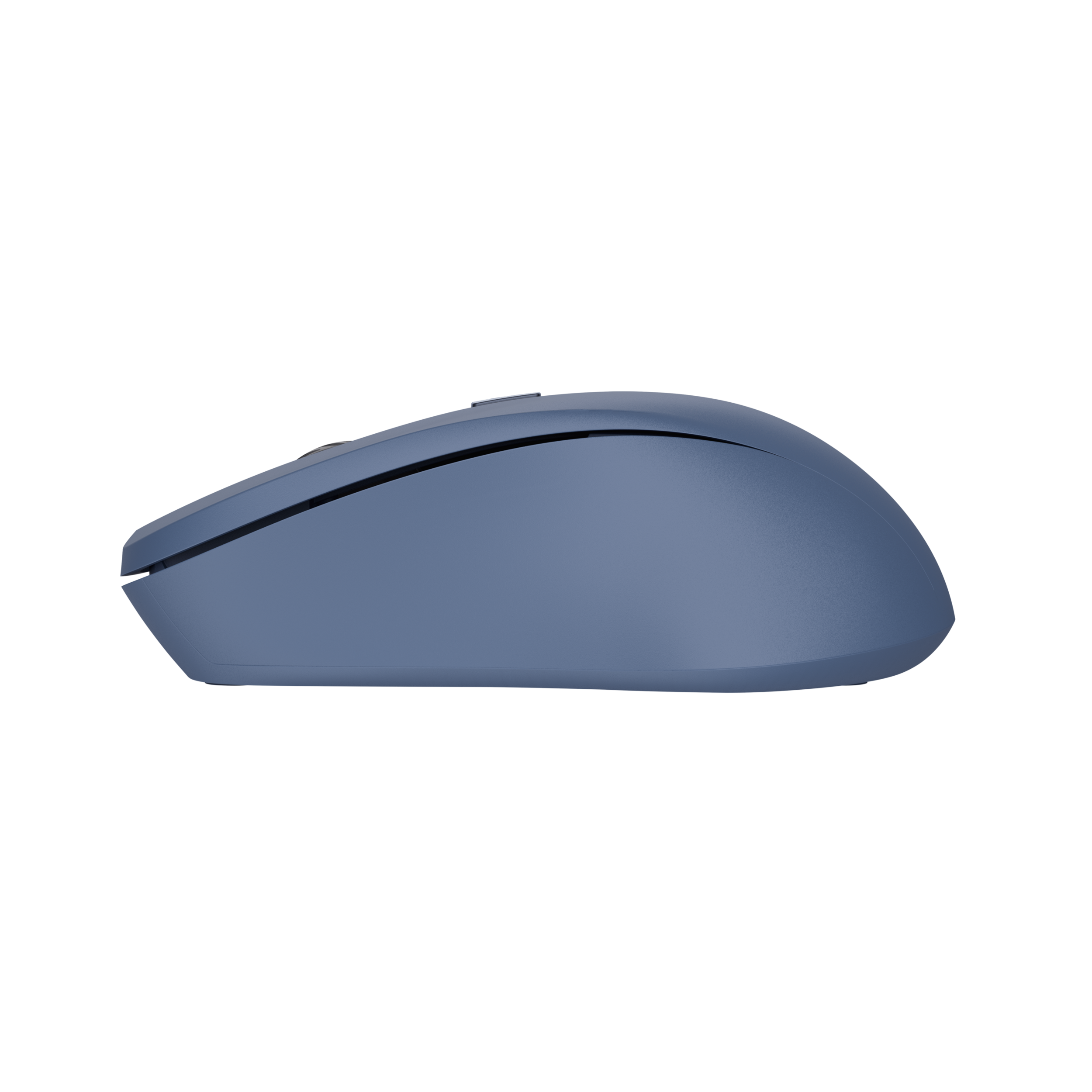 Blaue Computermaus von der Seite gesehen, auf schwarzem Hintergrund.