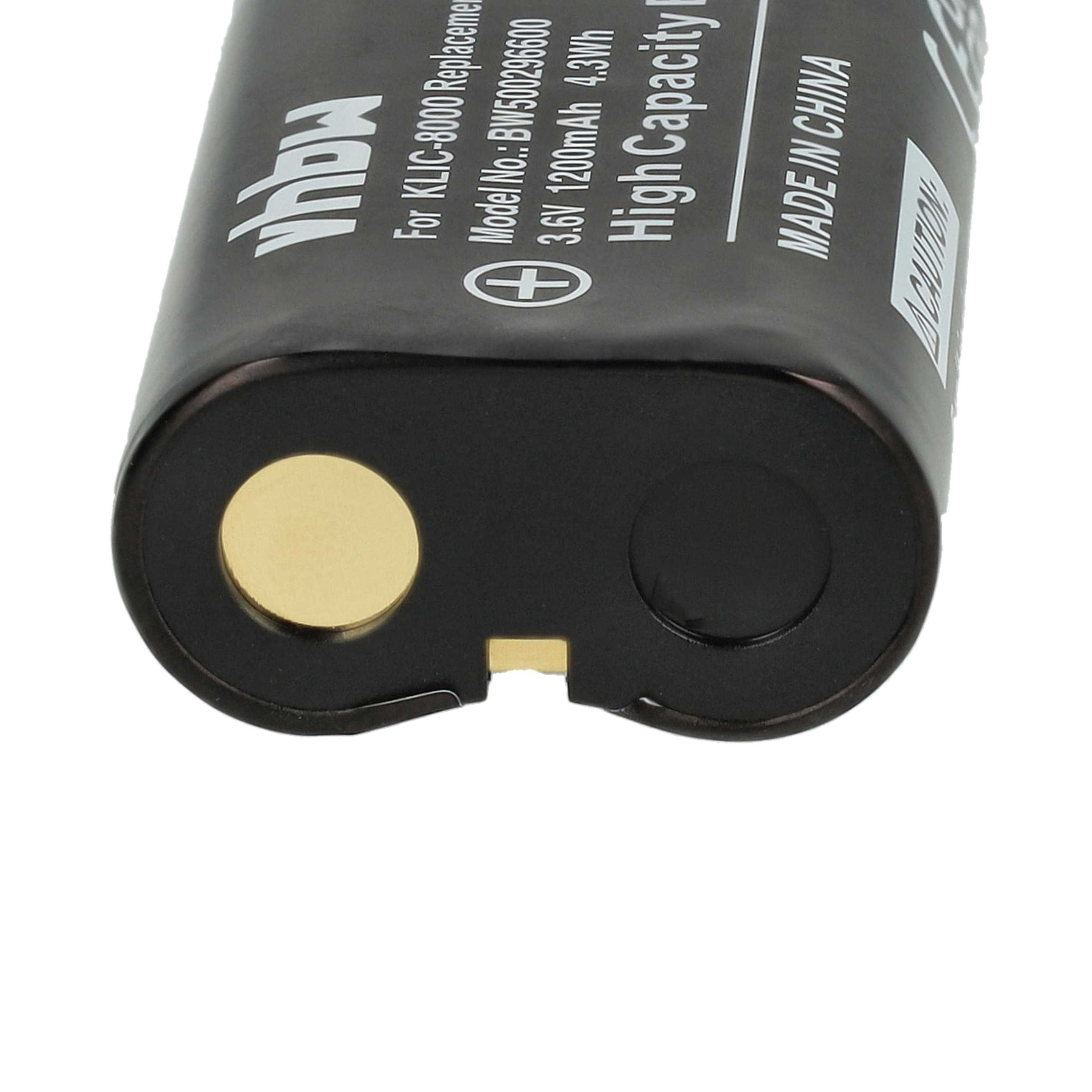 Schwarze Batterie mit Text und Etiketten. Goldfarbener Kreis und eine kleine Kerbe.