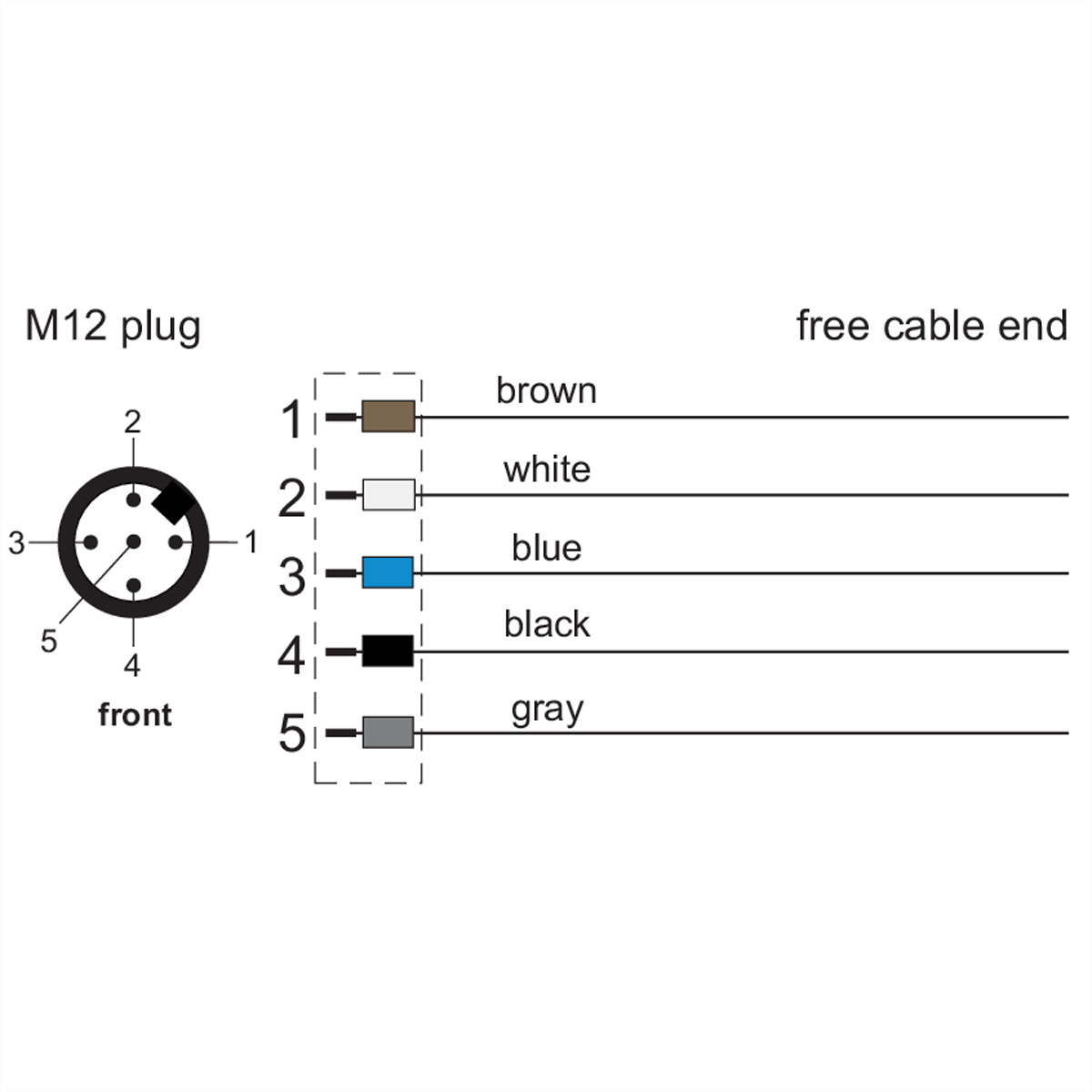 M12-Steckverbinder-Diagramm. Braune, weiße, blaue, schwarze und graue Drähte sind abgebildet.