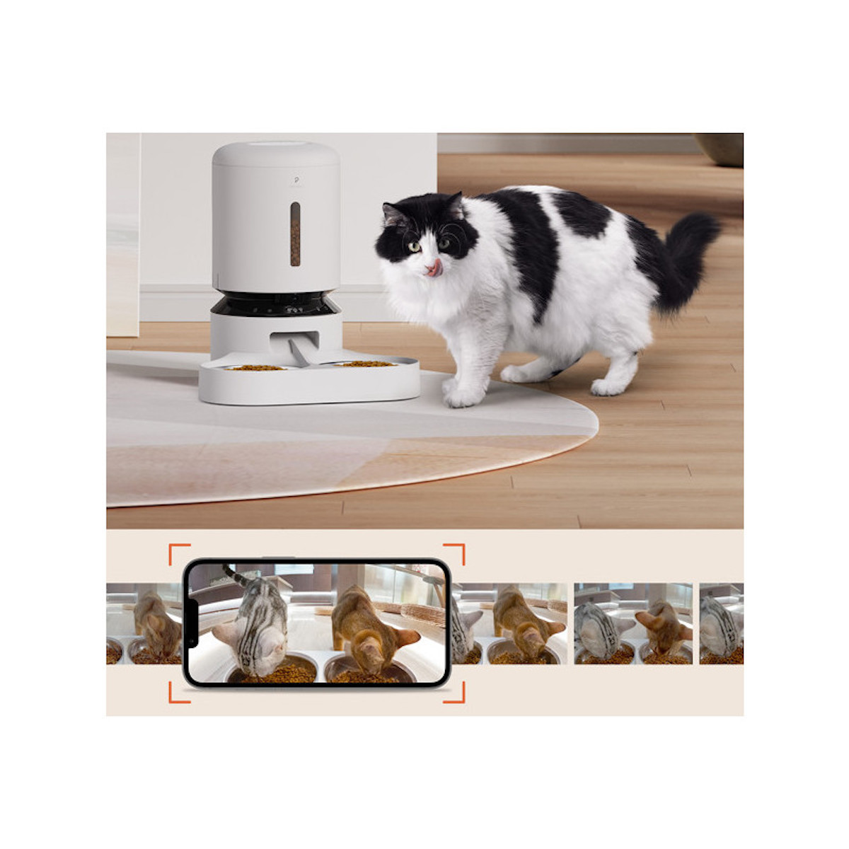 Un gatto che mangia da un distributore di cibo. Un telefono mostra le foto del gatto che mangia.