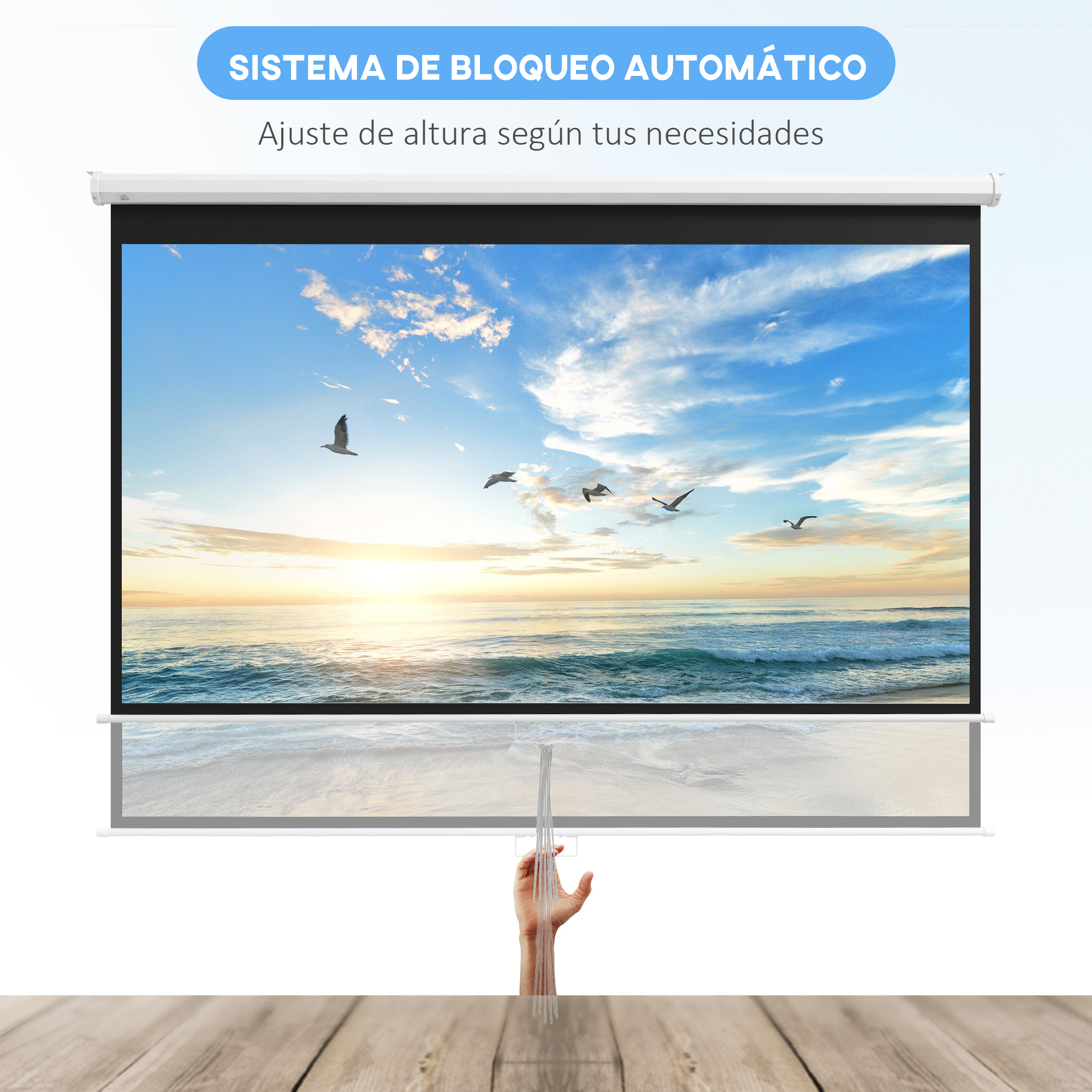Pantalla de proyector con escena de playa, gaviotas y mano que baja la pantalla.