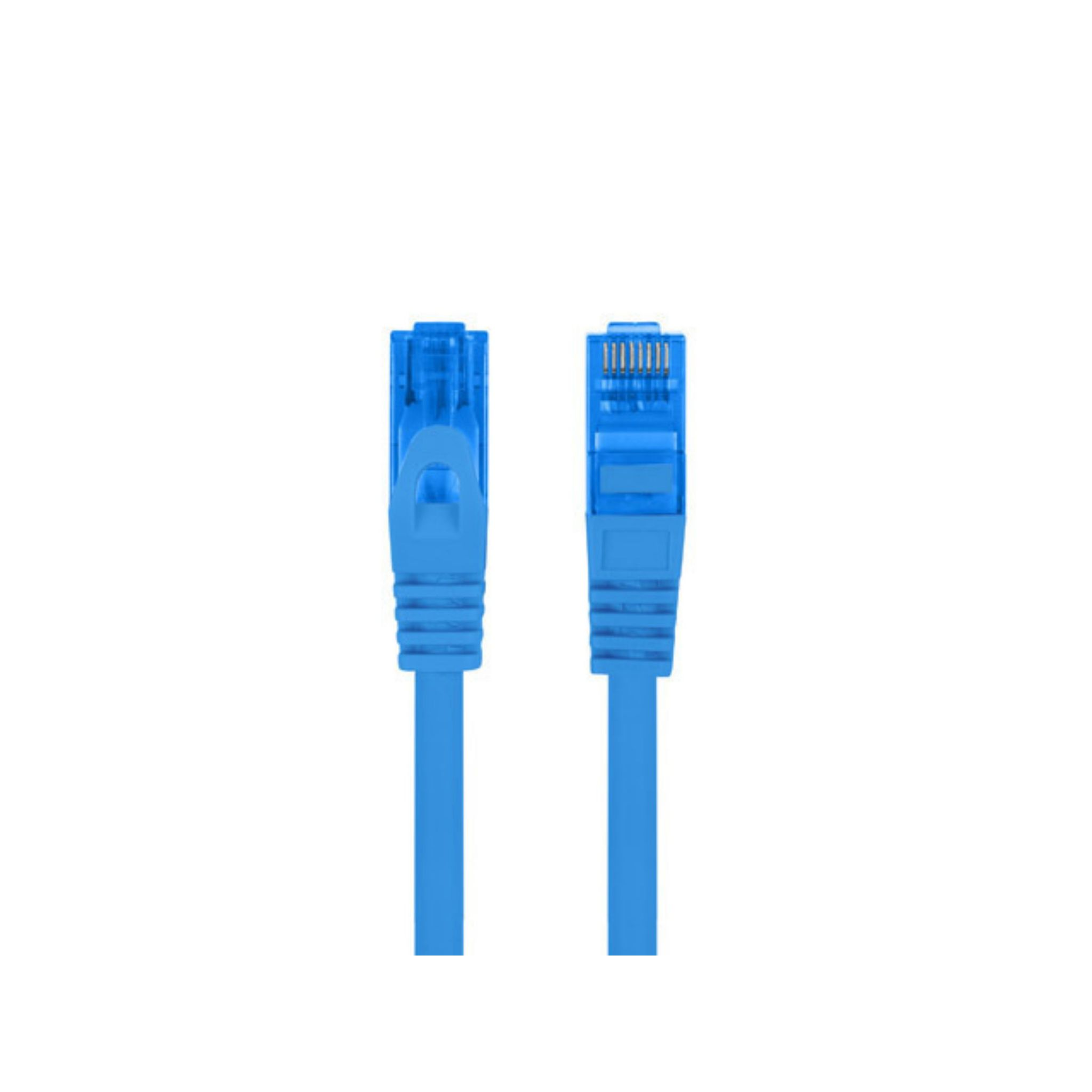 Due cavi di rete blu con connettori RJ45.