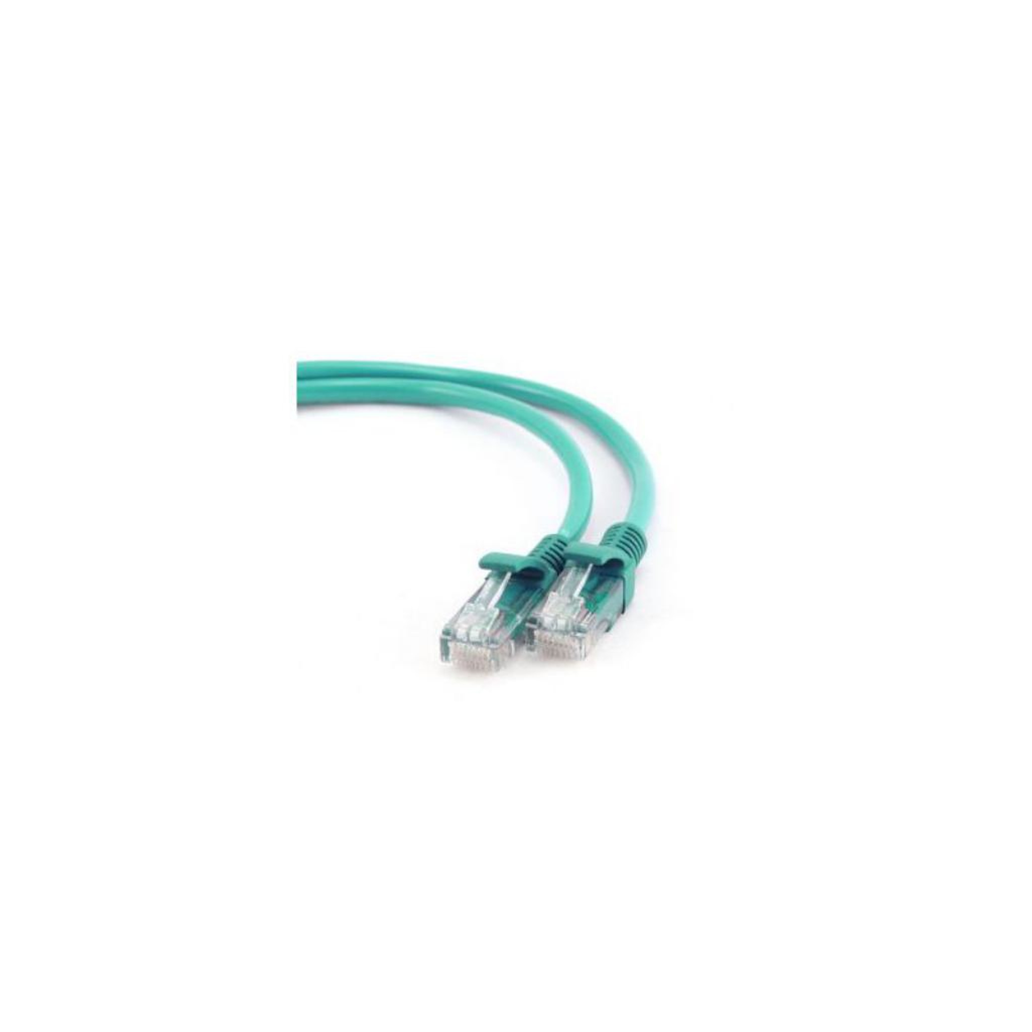 Due cavi Ethernet verdi con connettori trasparenti. Sfondo bianco, vista angolata.
