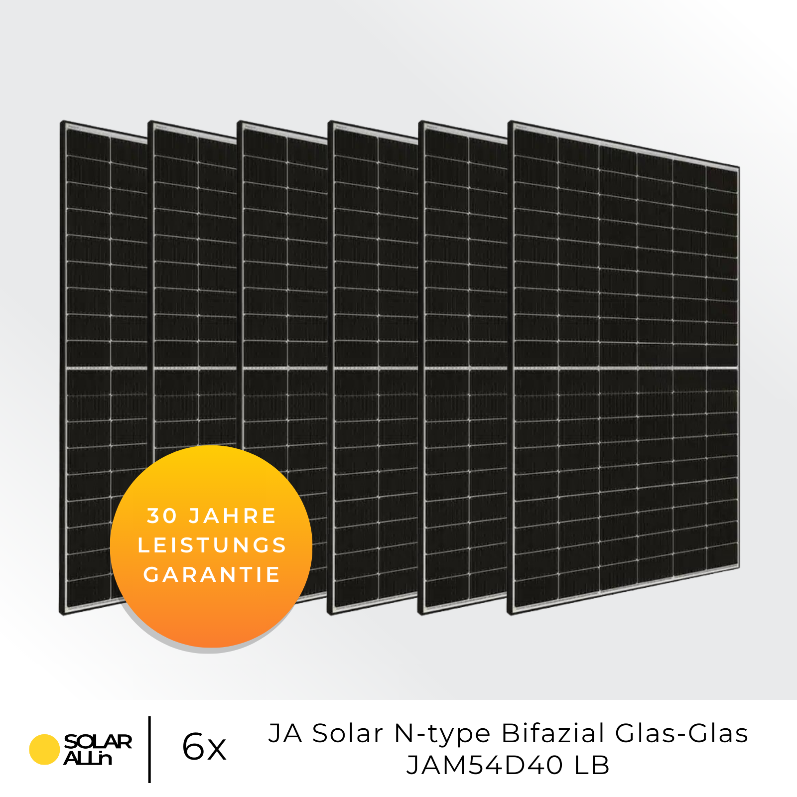Sechs schwarze Solarmodule mit einem gelben Kreis mit der Aufschrift '30 Jahre LEISTUNGS GARANTIE' und 'SOLAR ALLIN'.
