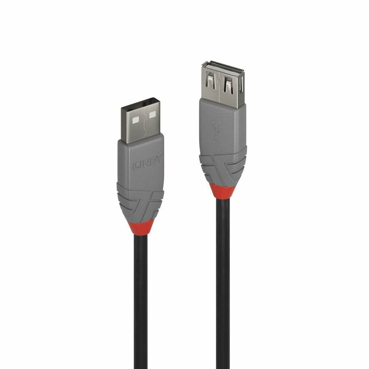 Deux câbles USB noirs avec des connecteurs gris et des accents rouges. Ils sont sur fond blanc.