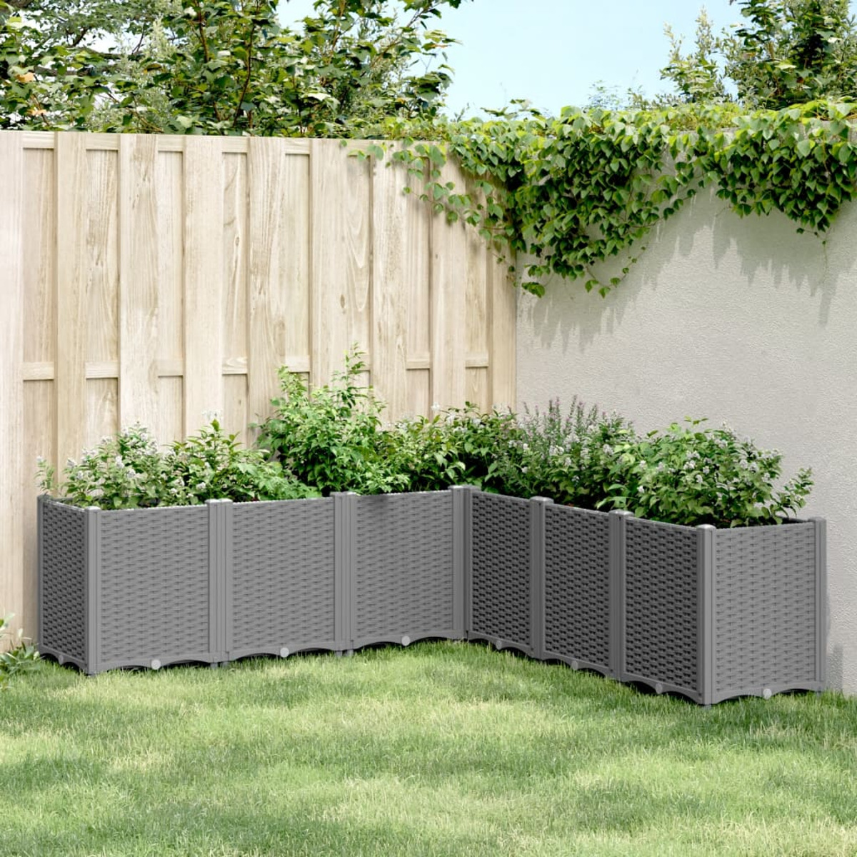 Graue Gartenbegrenzung mit Pflanzen im Inneren auf einem grünen Rasen mit Holzzaun und Efeu.