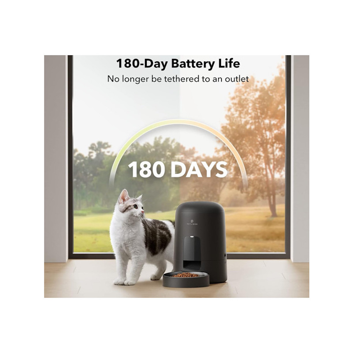 Un gato junto a un dispensador de comida y una ventana, con una etiqueta de 180 días de duración de la batería.