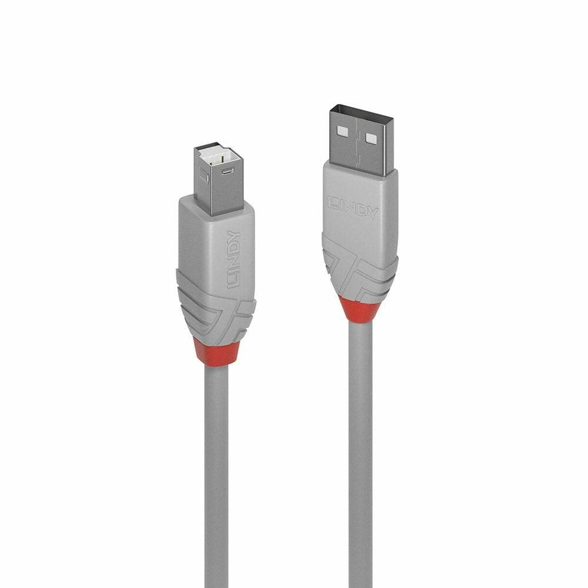 Twee grijze USB-kabels. Elke kabel heeft een andere connector met 'LINDY' en rode accenten.