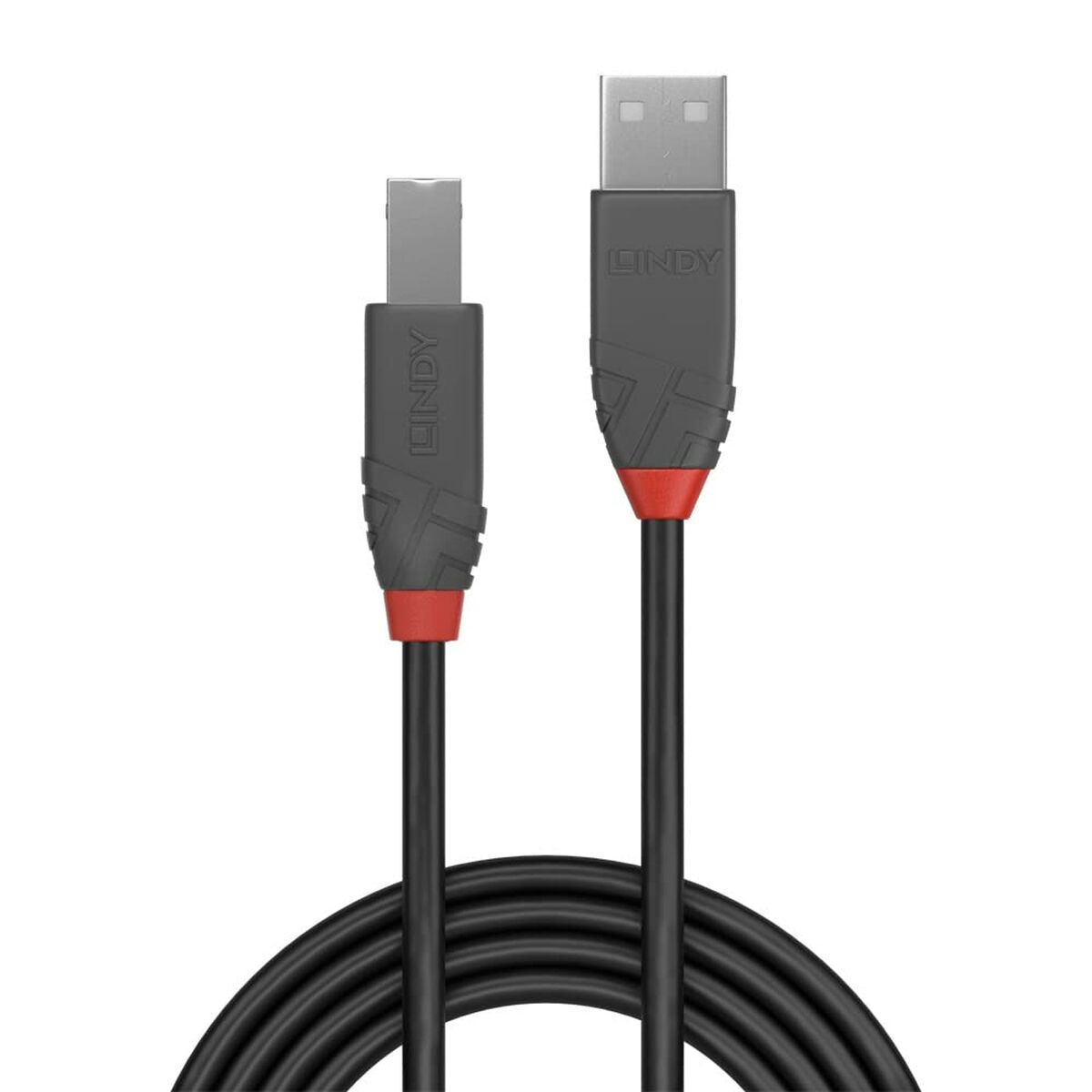 Deux câbles USB LINDY noirs avec des accents rouges, enroulés. Ils sont côte à côte sur fond blanc.
