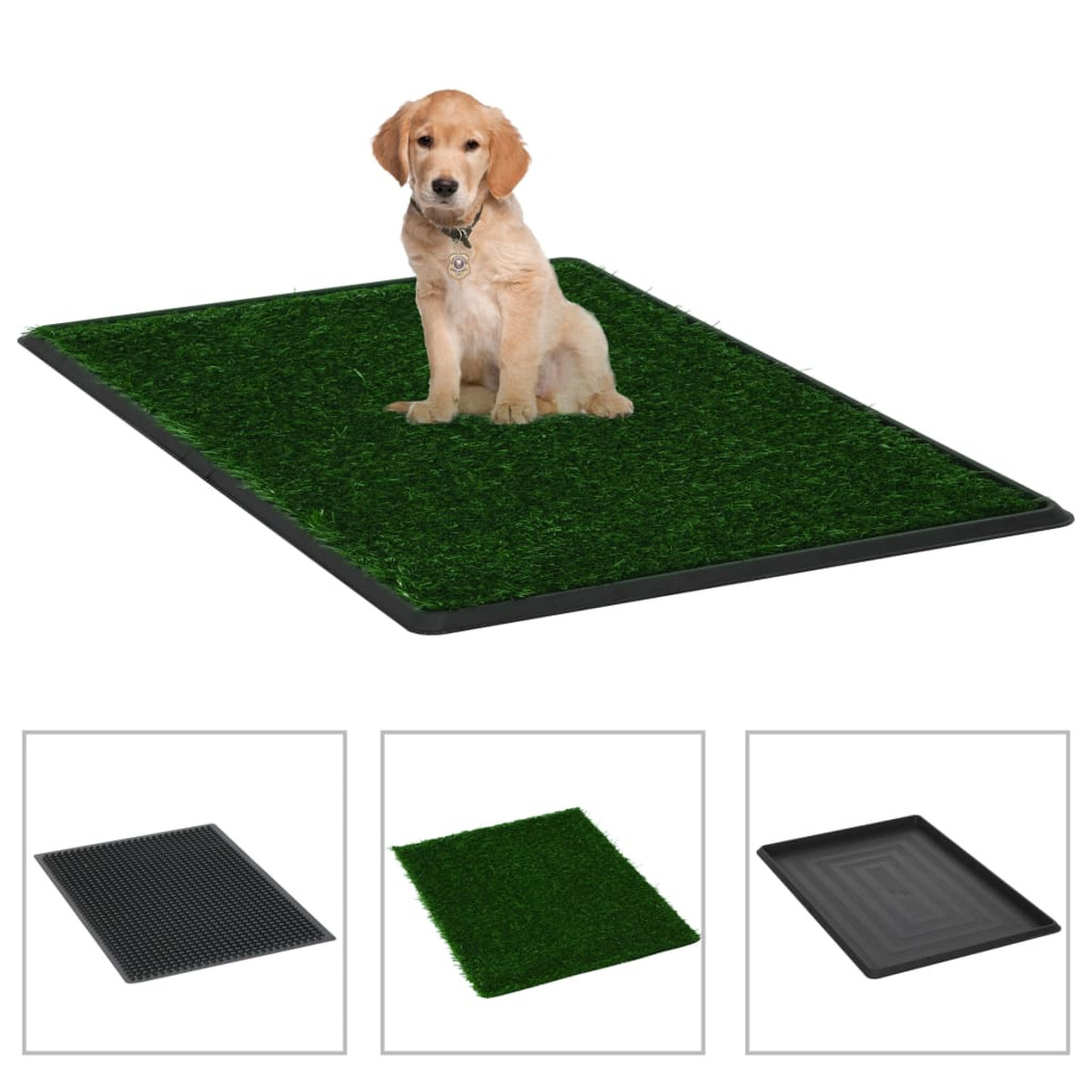 Golden Retriever Welpe sitzt auf grünem Kunstrasen, darunter drei Zubehörbilder.