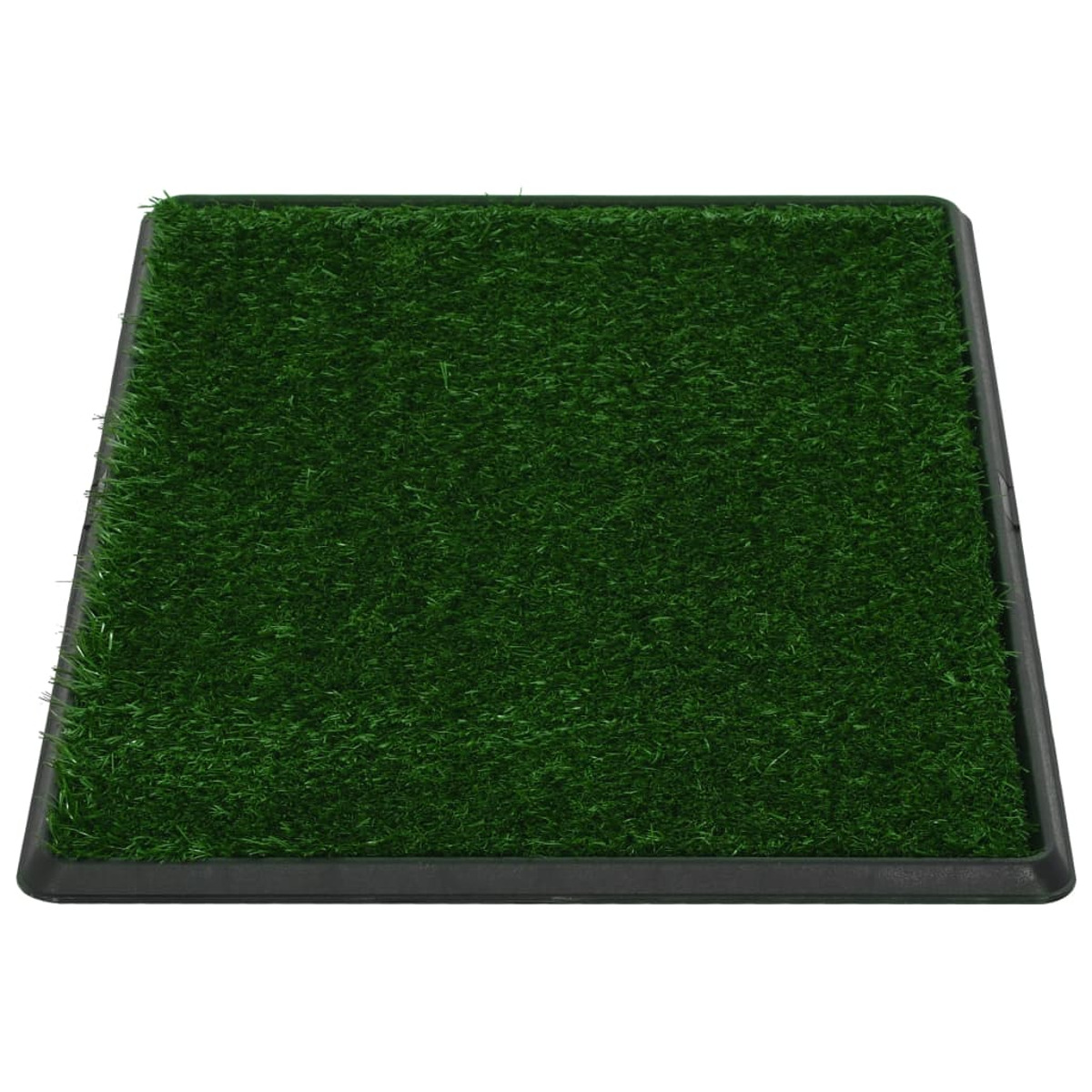 Grüne Kunstrasenmatte in einer schwarzen Schale. Das Gras ist gleichmäßig verteilt. Weißer Hintergrund.