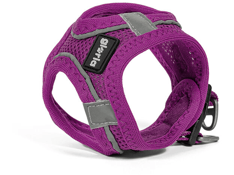 GLORIA Trek Star Hundegeschirr | SATURN