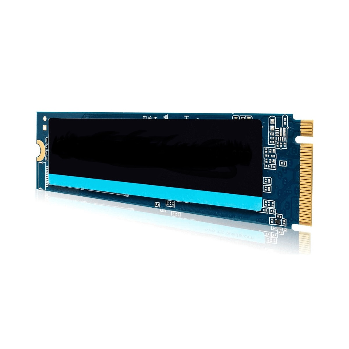 Eine blau-schwarze Solid-State-Disk (SSD) mit schwarzem Label und Gold-Pins.