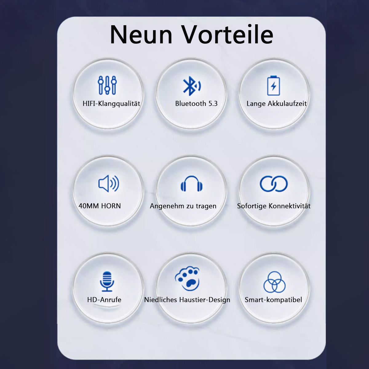 Infografik mit neun Symbolen, die Produktmerkmale detailliert beschreiben. Bilder inkl. Bluetooth, Hi-Fi.