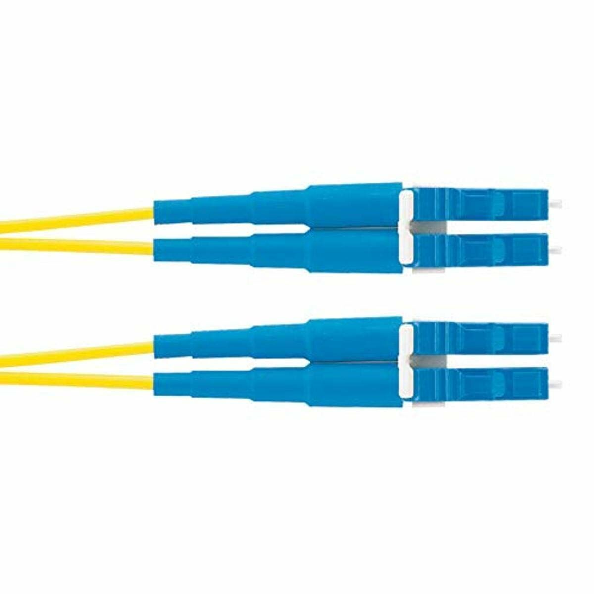 Zwei blaue und gelbe Glasfaserkabel, Stecker sind blau und weiß.