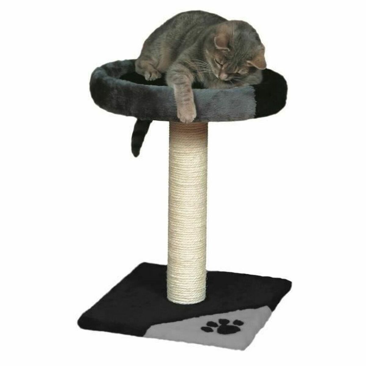 Graue Katze auf einem Kratzbaum. Baum mit schwarz/grauer Plattform, Seilstange und schwarzem Sockel.