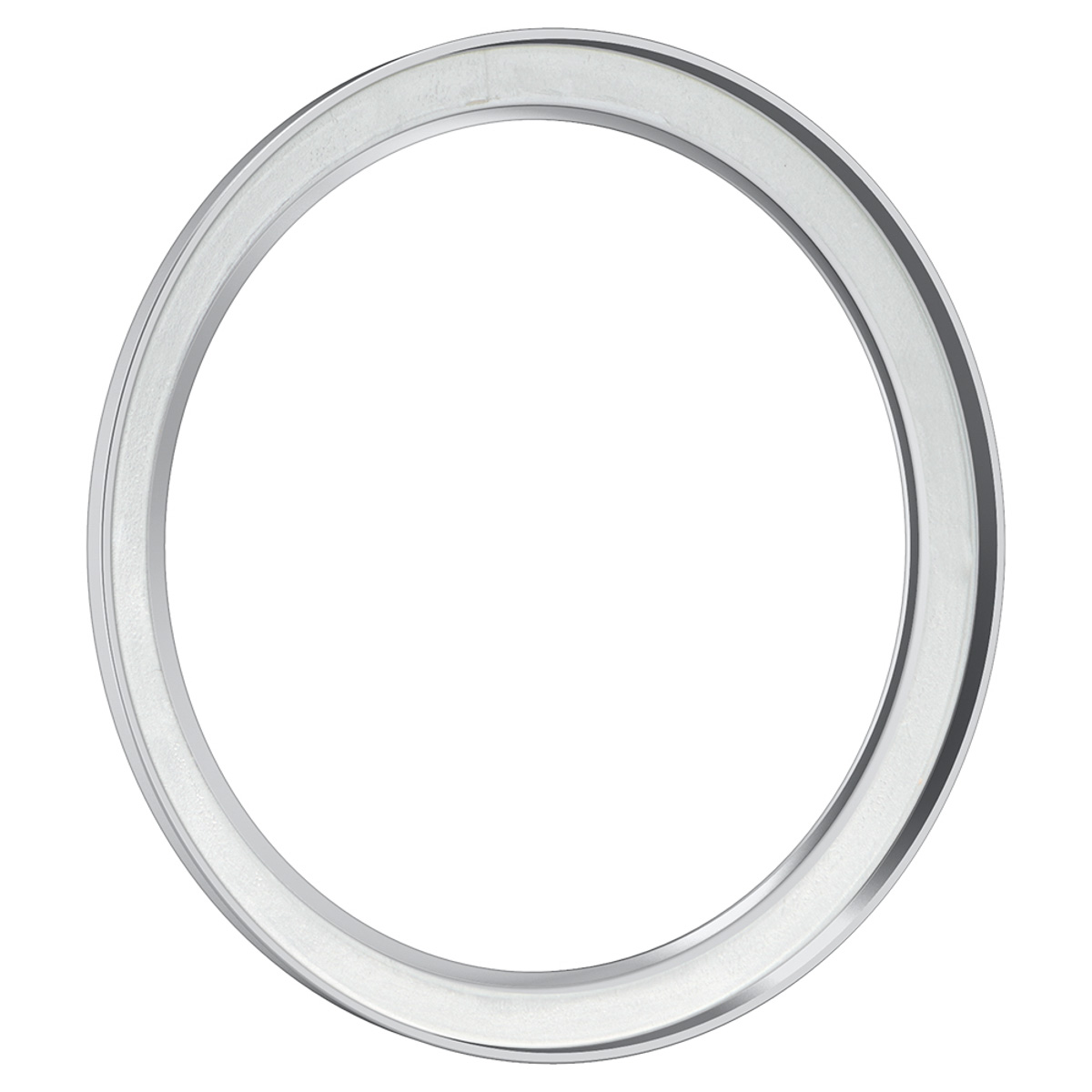 Zilveren cirkelvormig frame. Witte achtergrond.