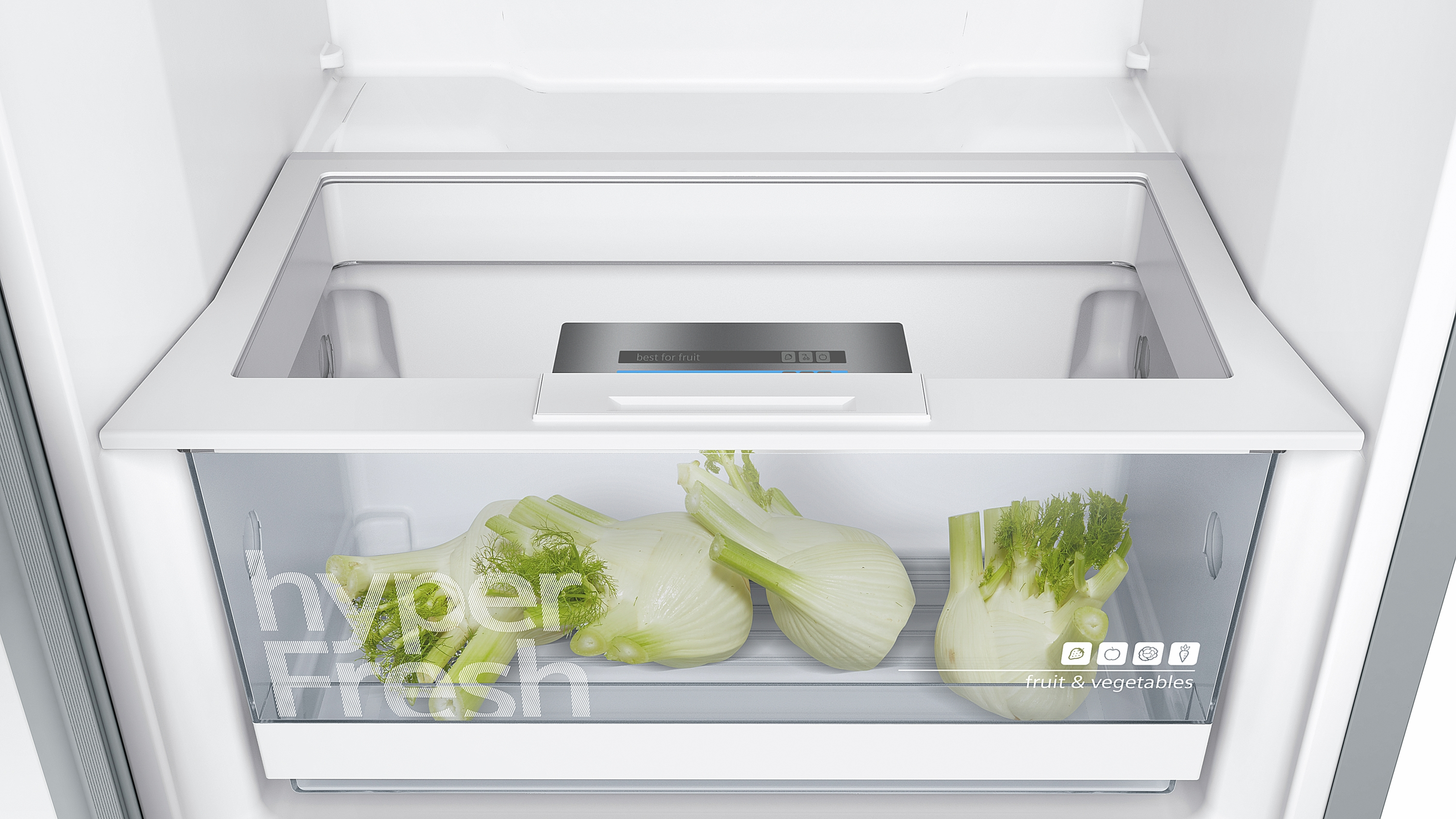 Im Kühlschrank: Fenchel in der unteren Schublade. Ein klares Regal darüber hat eine Digitalanzeige.
