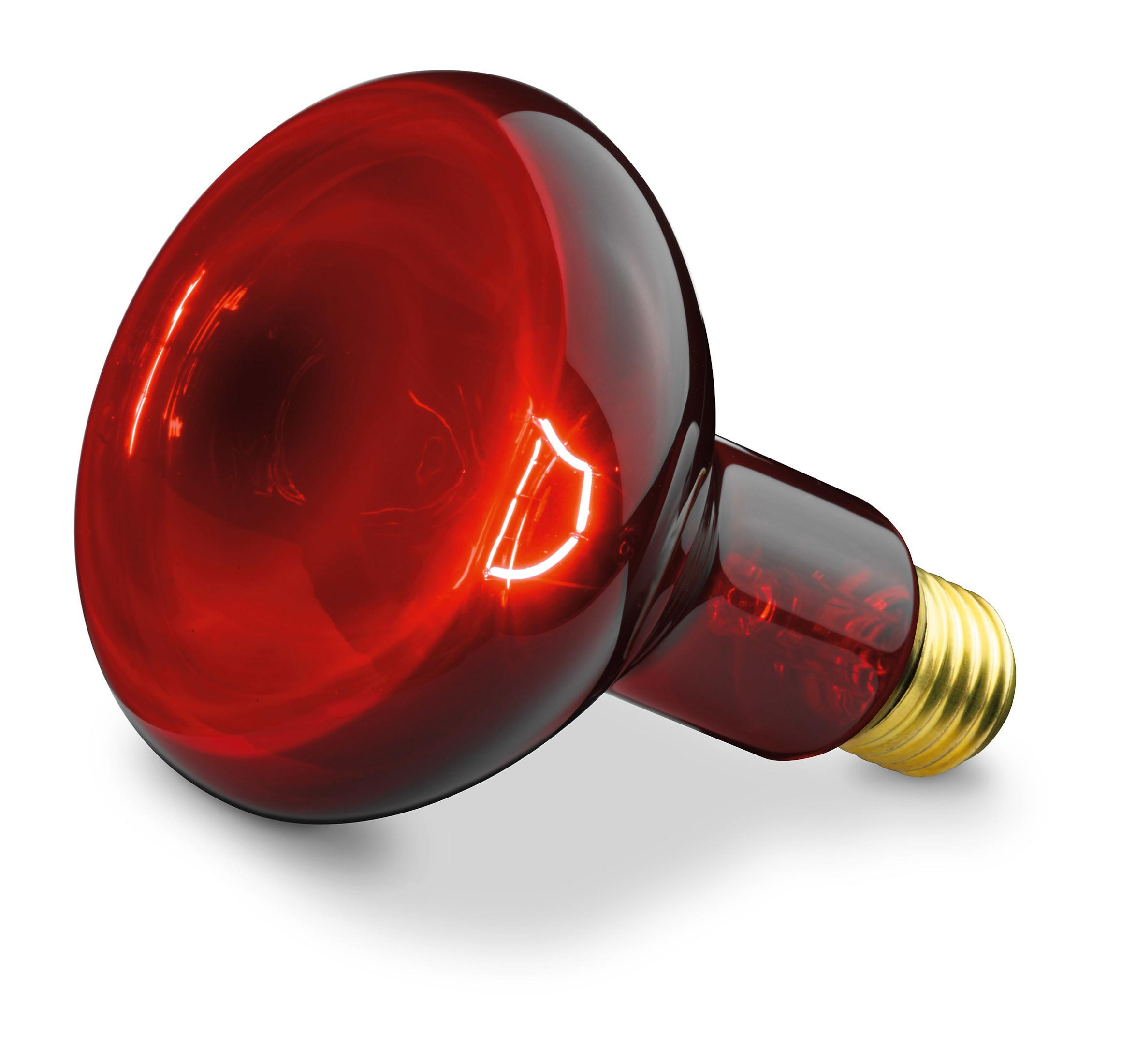 Eine rote Infrarot-Glühbirne mit goldenem Sockel, die auf einer weißen Oberfläche liegt.