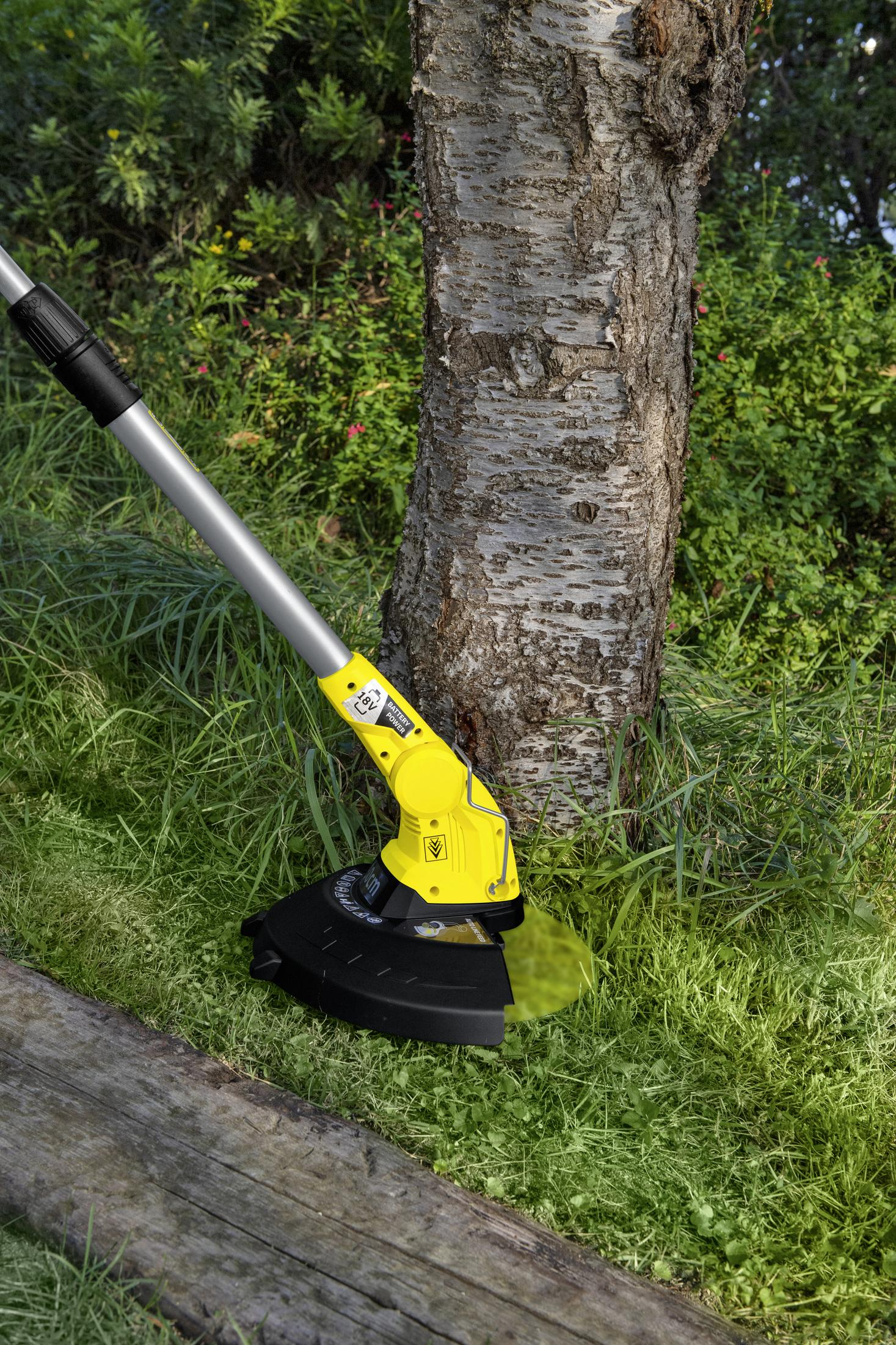 Żółto-czarna kosa tnie trawę w pobliżu pnia drzewa. Kosa ma długi uchwyt i ostrze.