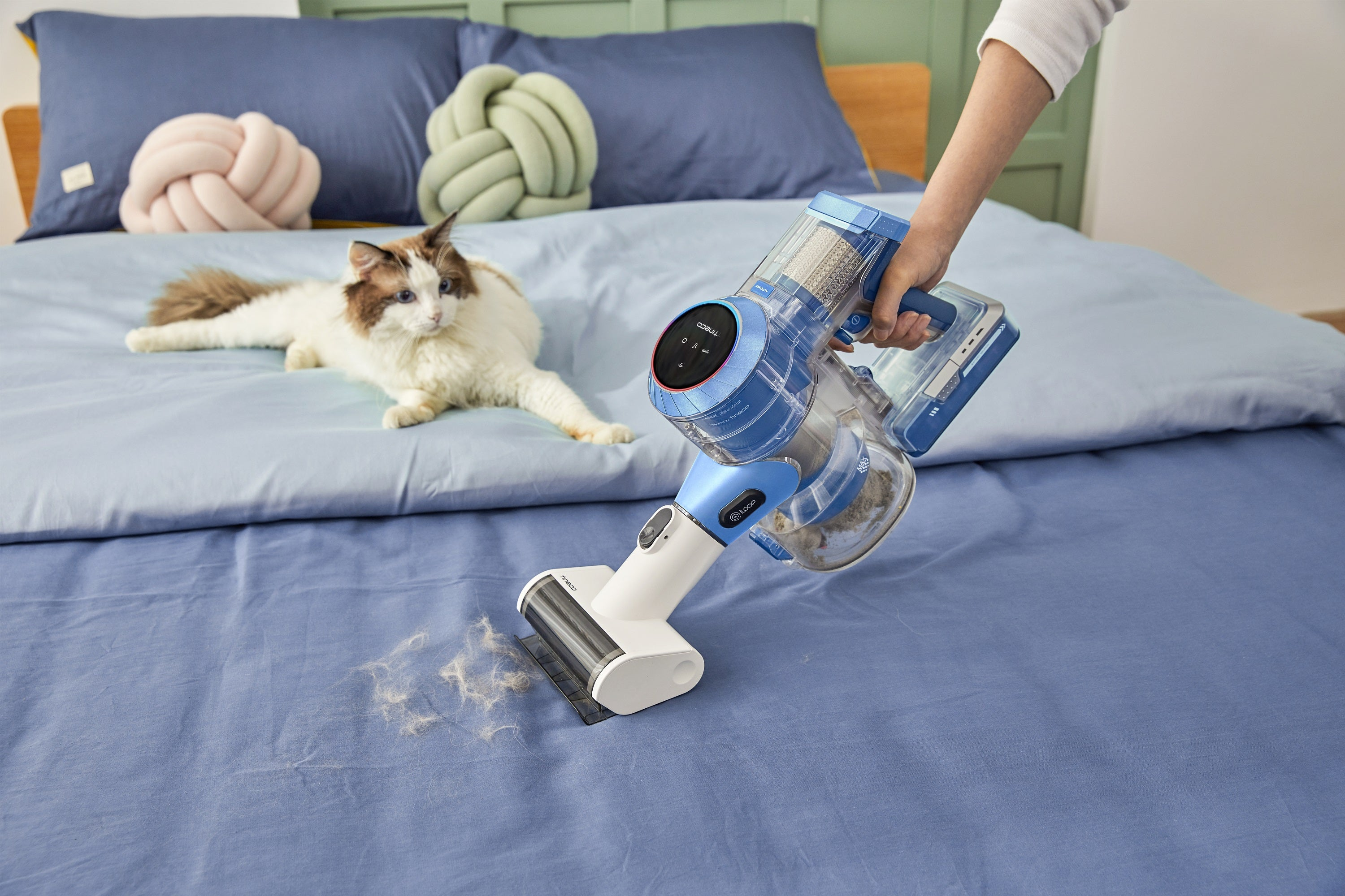 Una persona aspira una cama azul con un gato encima. La aspiradora es azul y blanca.