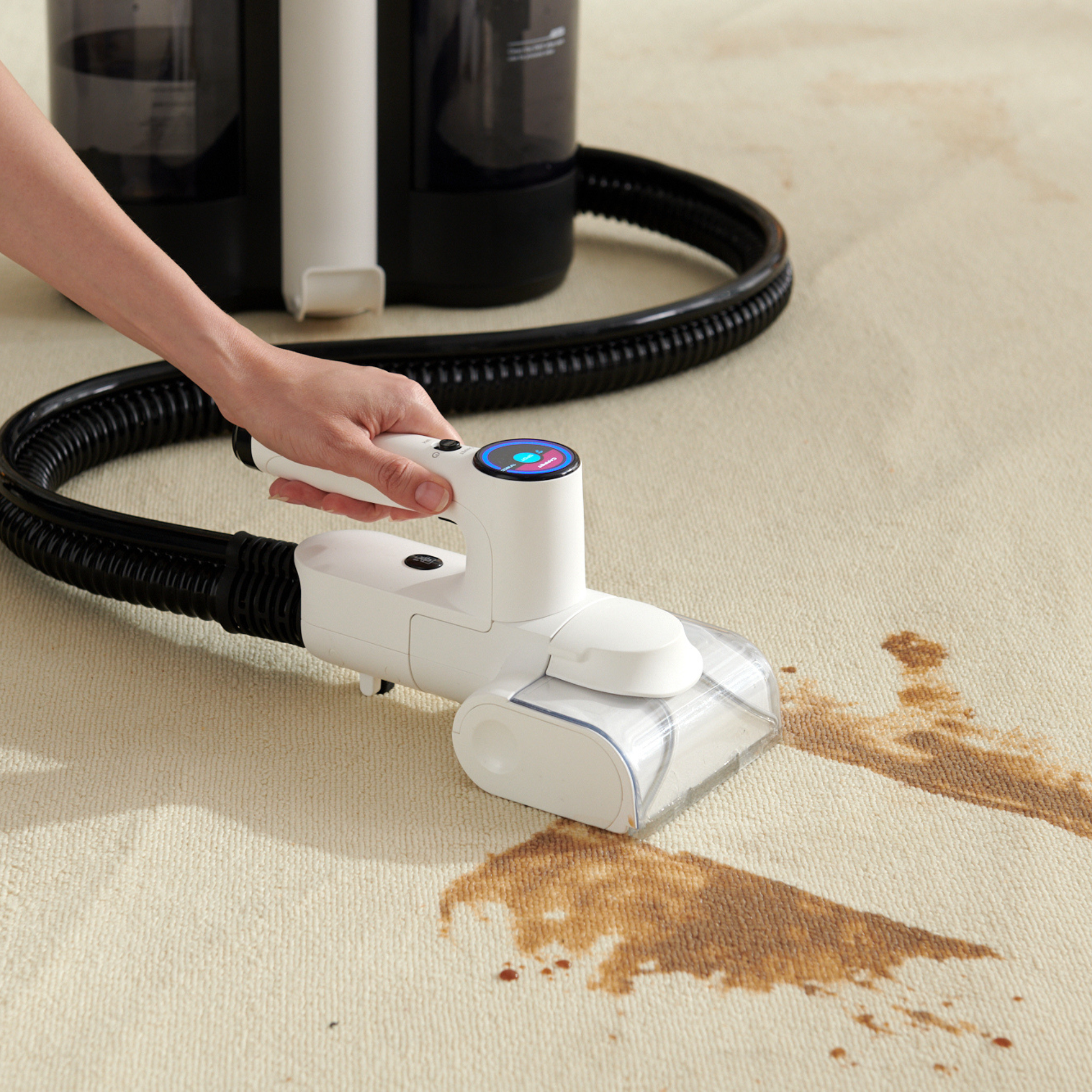 Mano che usa uno strumento di pulizia bianco su un tappeto macchiato, con macchie scure.
