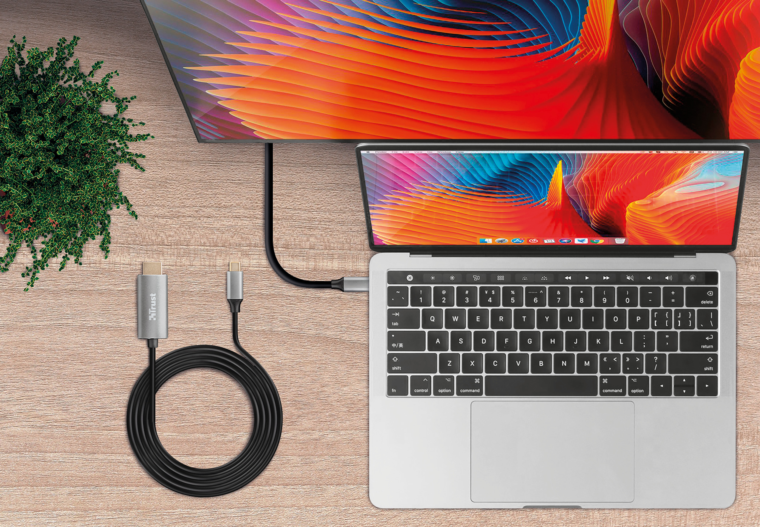 Portátil conectado a un monitor por cable, sobre una mesa de madera, con una planta verde.