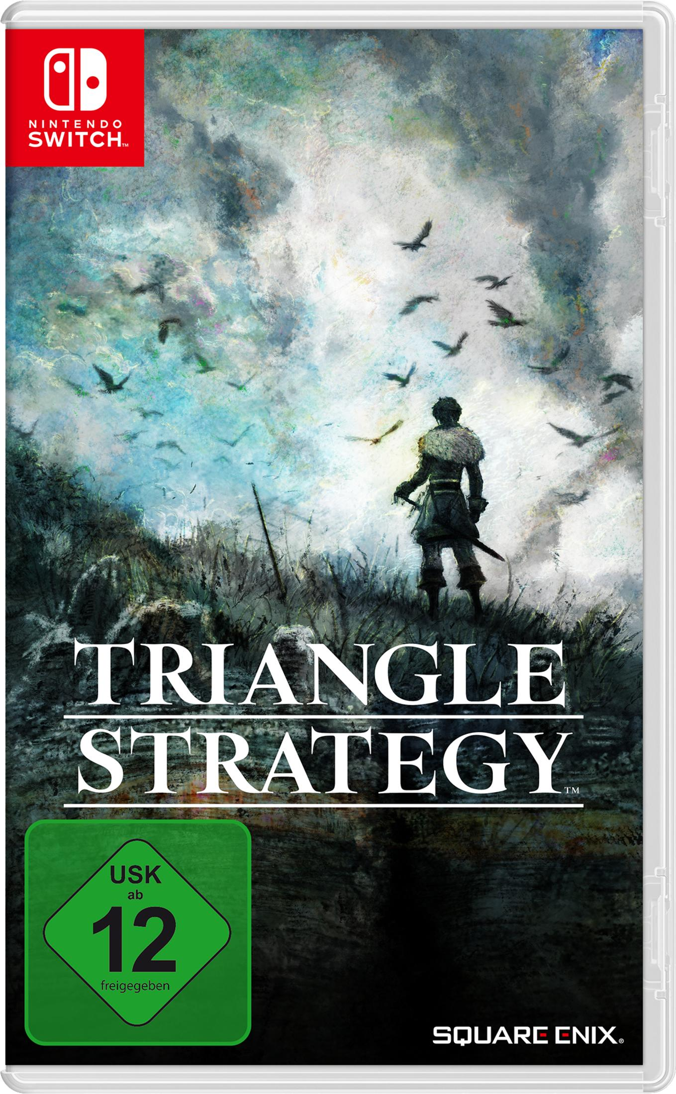 Triangle Strategy Nintendo Switch-Spielcover. Ein Krieger auf einem Hügel. Stürmischer Hintergrund.