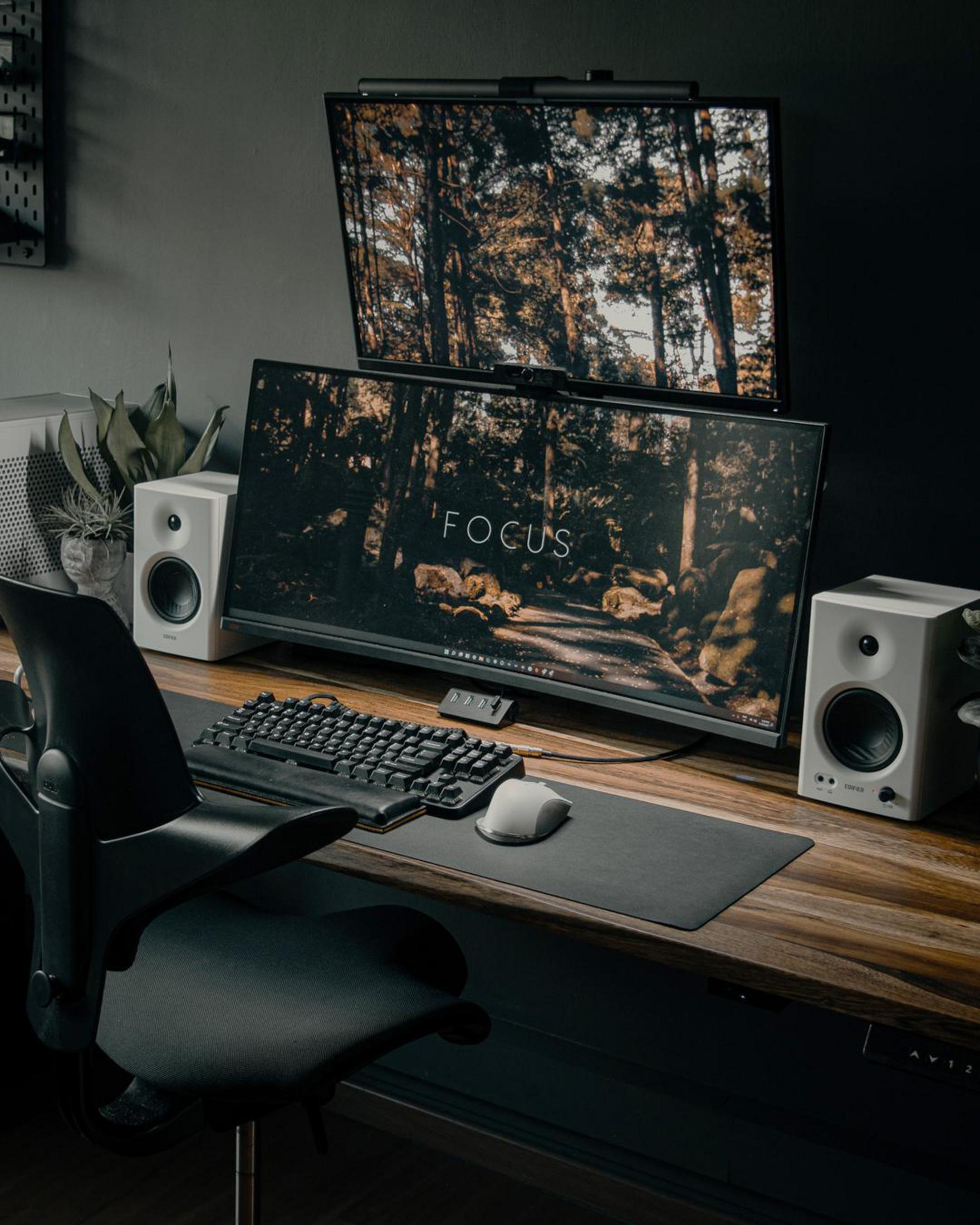 Nowoczesne biurko z dwoma monitorami, klawiaturą, głośnikami i roślinami.