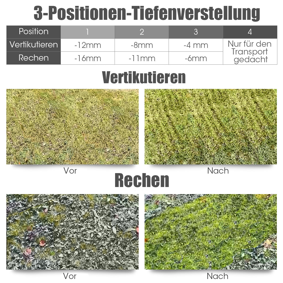Bild zeigt verschiedene Rasenpflegepositionen mit einer Maschine. Das Bild zeigt Vorher-Nachher-Effekte.