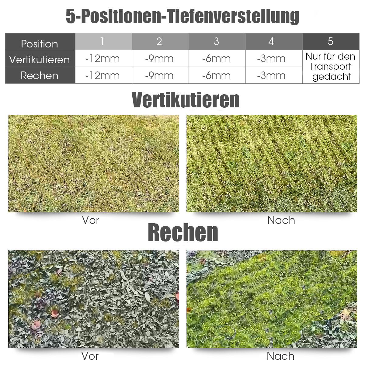 Diagramm, das Rasen vor und nach dem Vertikutieren und Rechen zeigt. Text markiert Positionen.