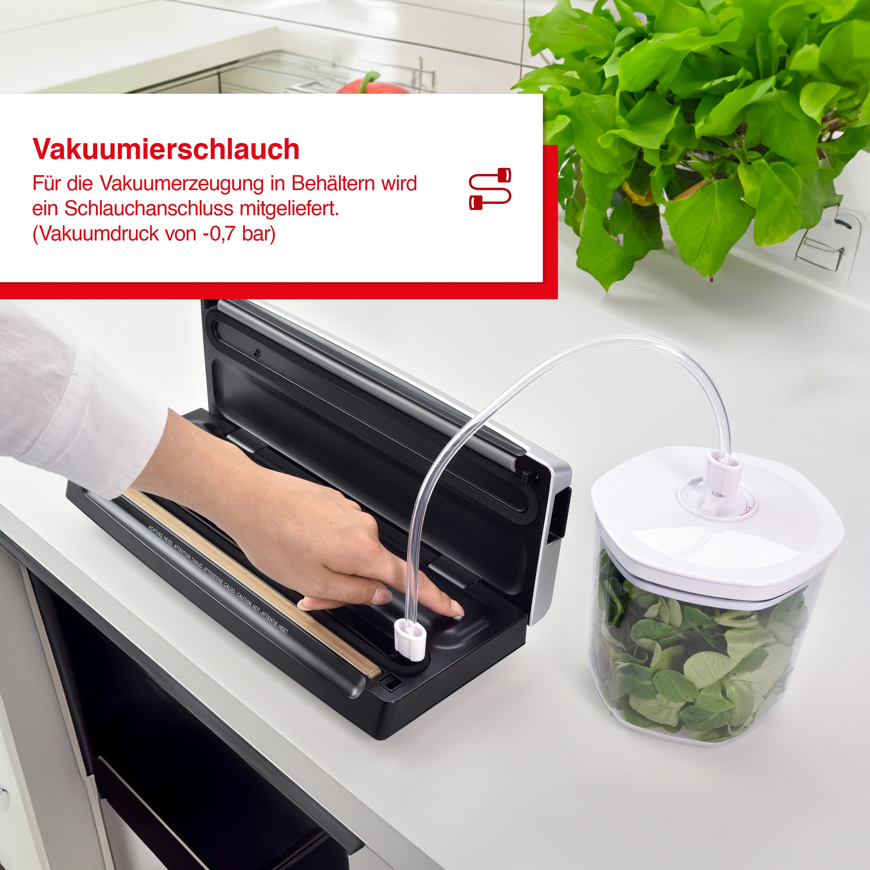 Eine Person verwendet einen Vakuumierer mit Schlauch, verbunden mit einem Kräuterbehälter, neben grünen Pflanzen.