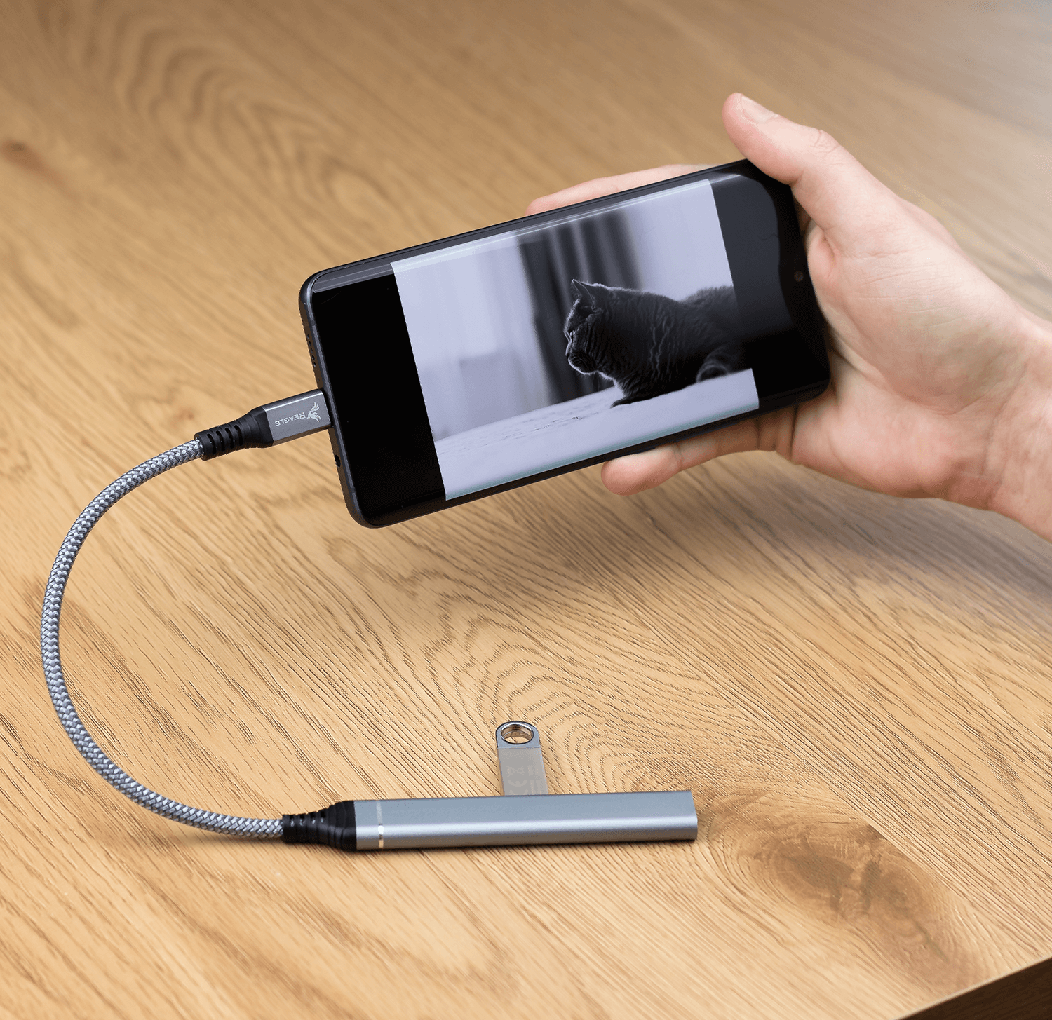Dłoń trzymająca telefon z obrazem kota, podłączona do adaptera USB-C i srebrnego pendrive'a.