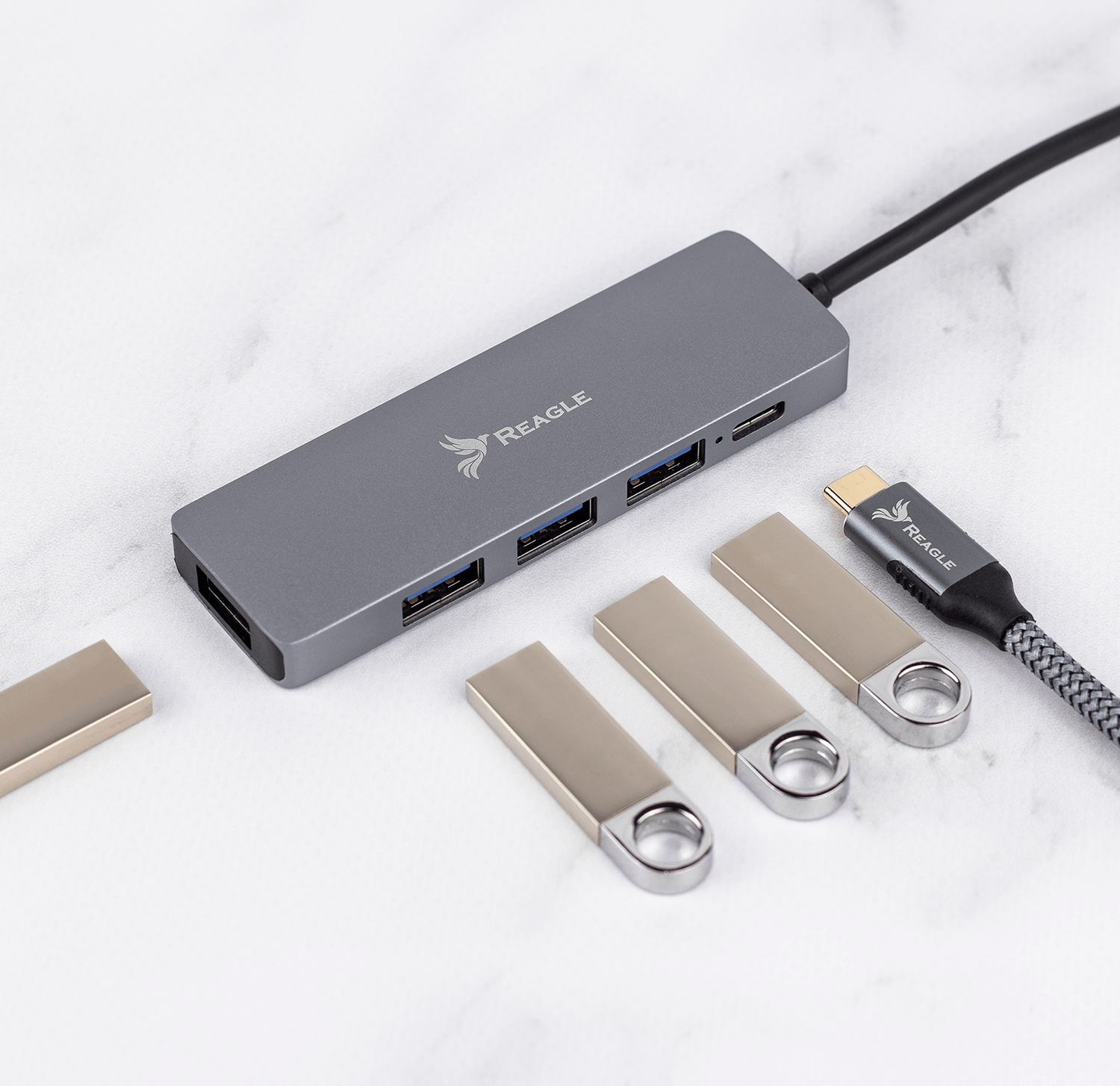 Ein grauer Hub mit USB-Anschlüssen und USB-Sticks. Der Markenname "Reagle" ist sichtbar.