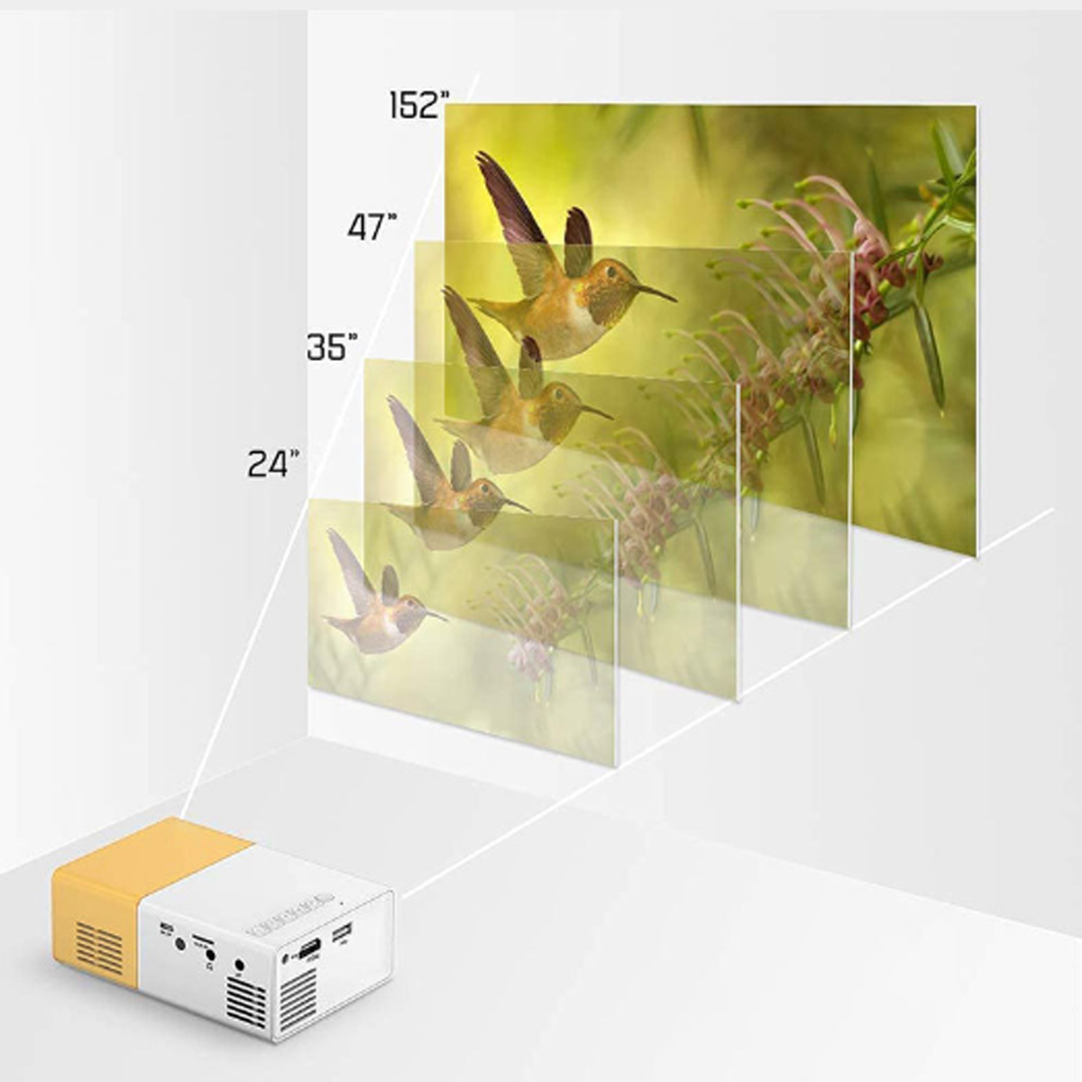 Proyector mostrando imagen de colibrí, con dimensiones superpuestas.