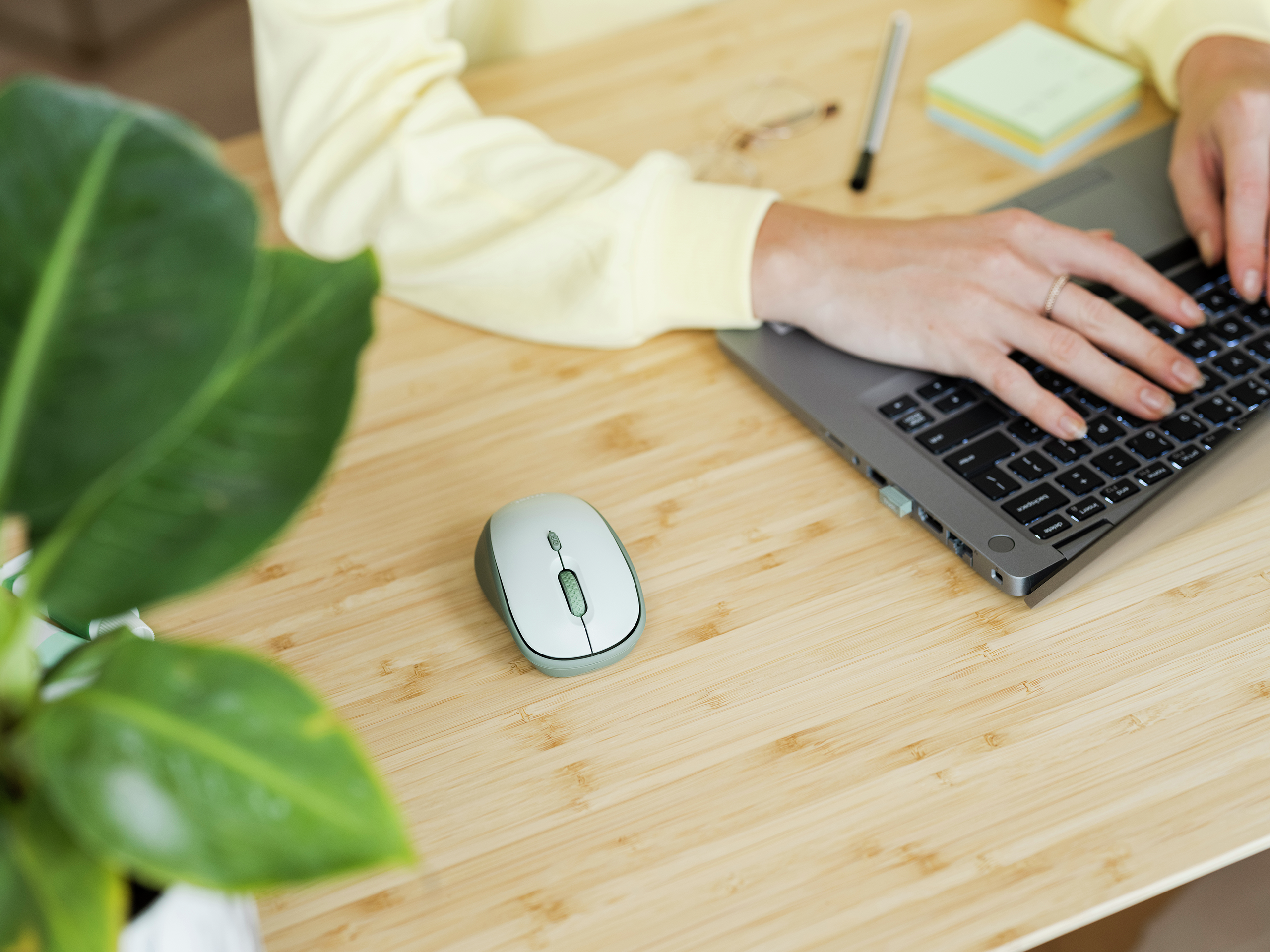 Osoba pisze na laptopie z zieloną myszą na bambusowym stole, obok rośliny z dużymi liśćmi.