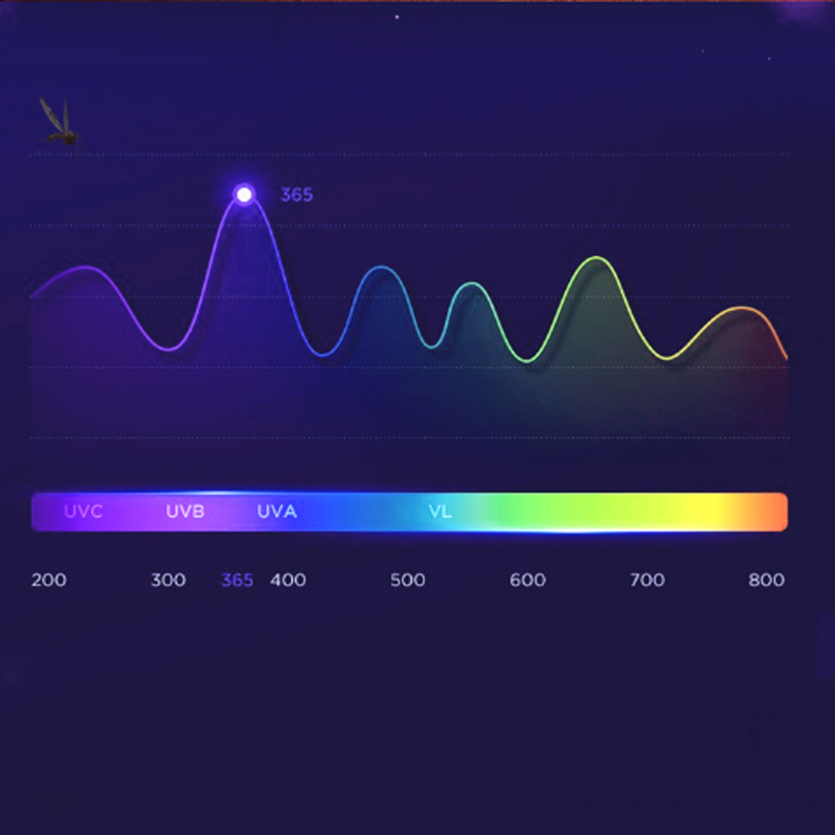 Ein Diagramm, das die Wellenlängen des UV-Lichts von UVC bis VL zeigt.