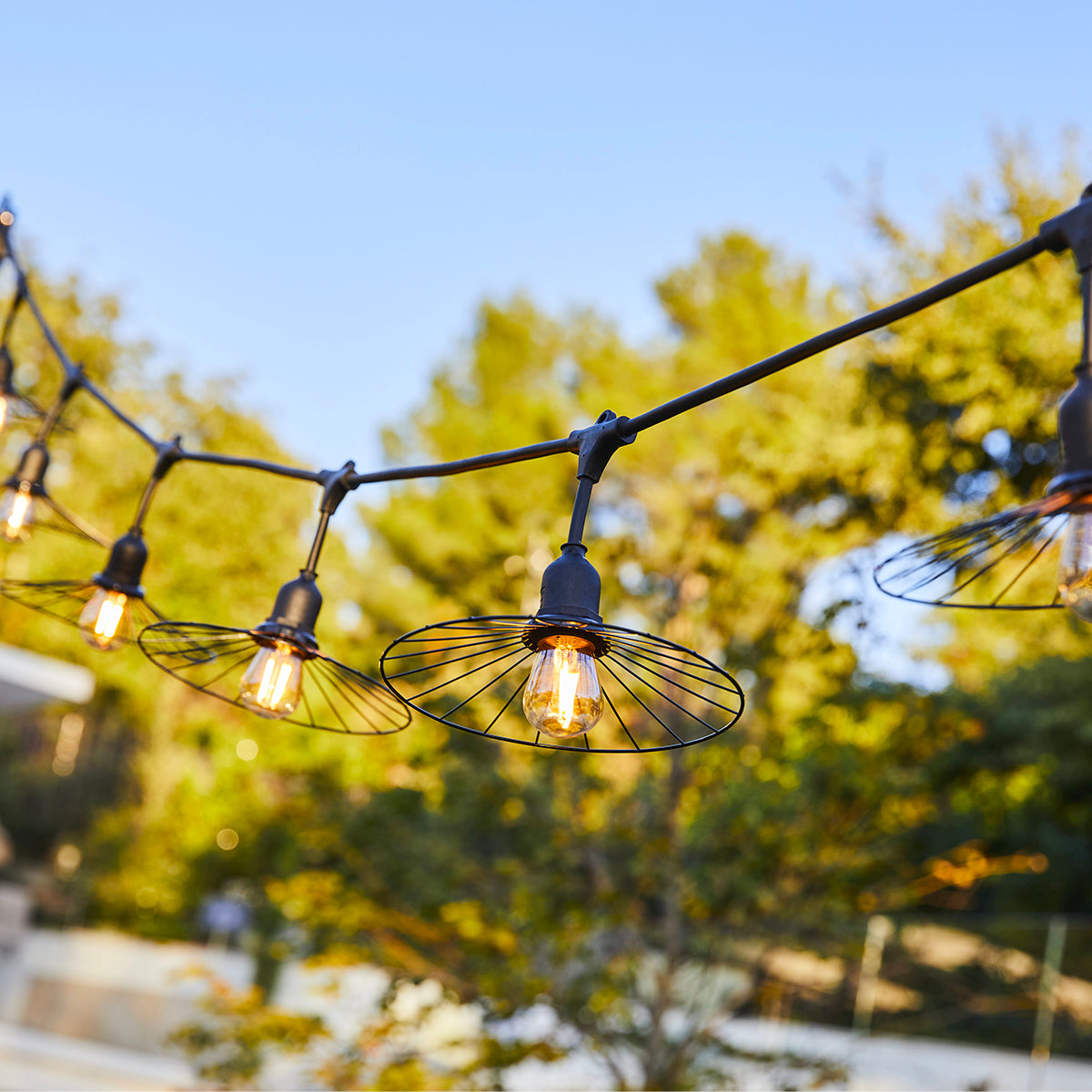 Lichterketten hängen im Freien mit leuchtenden Glühbirnen und grünem Hintergrund.