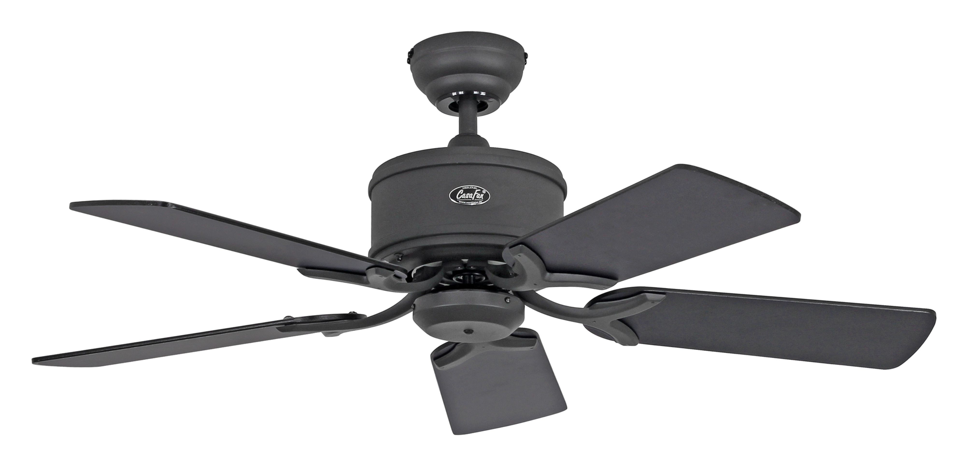 Ventilatore da soffitto nero con cinque pale. La ventola è montata su un soffitto bianco.