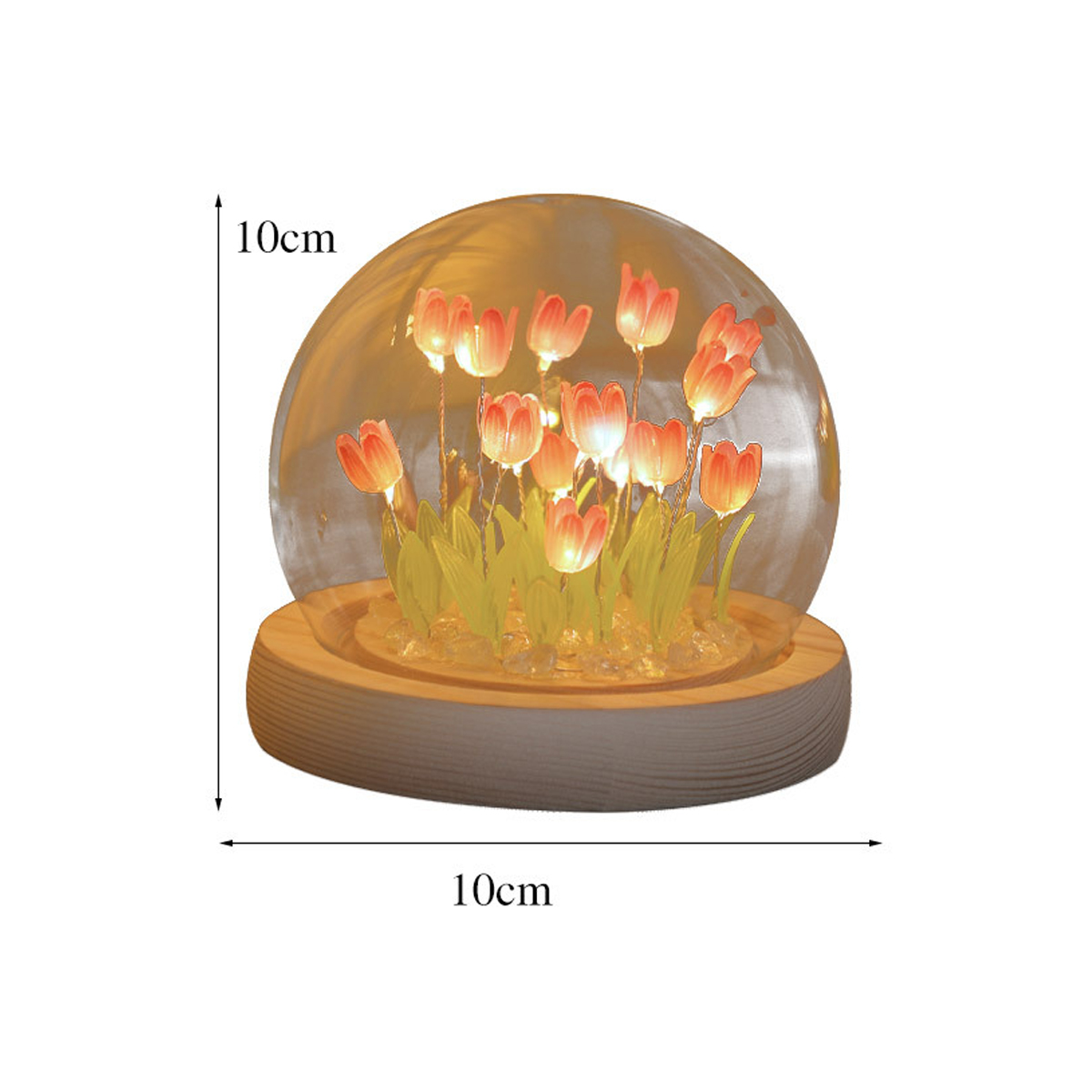 Glaskuppel mit beleuchteten orangefarbenen Tulpen auf Holzsockel.