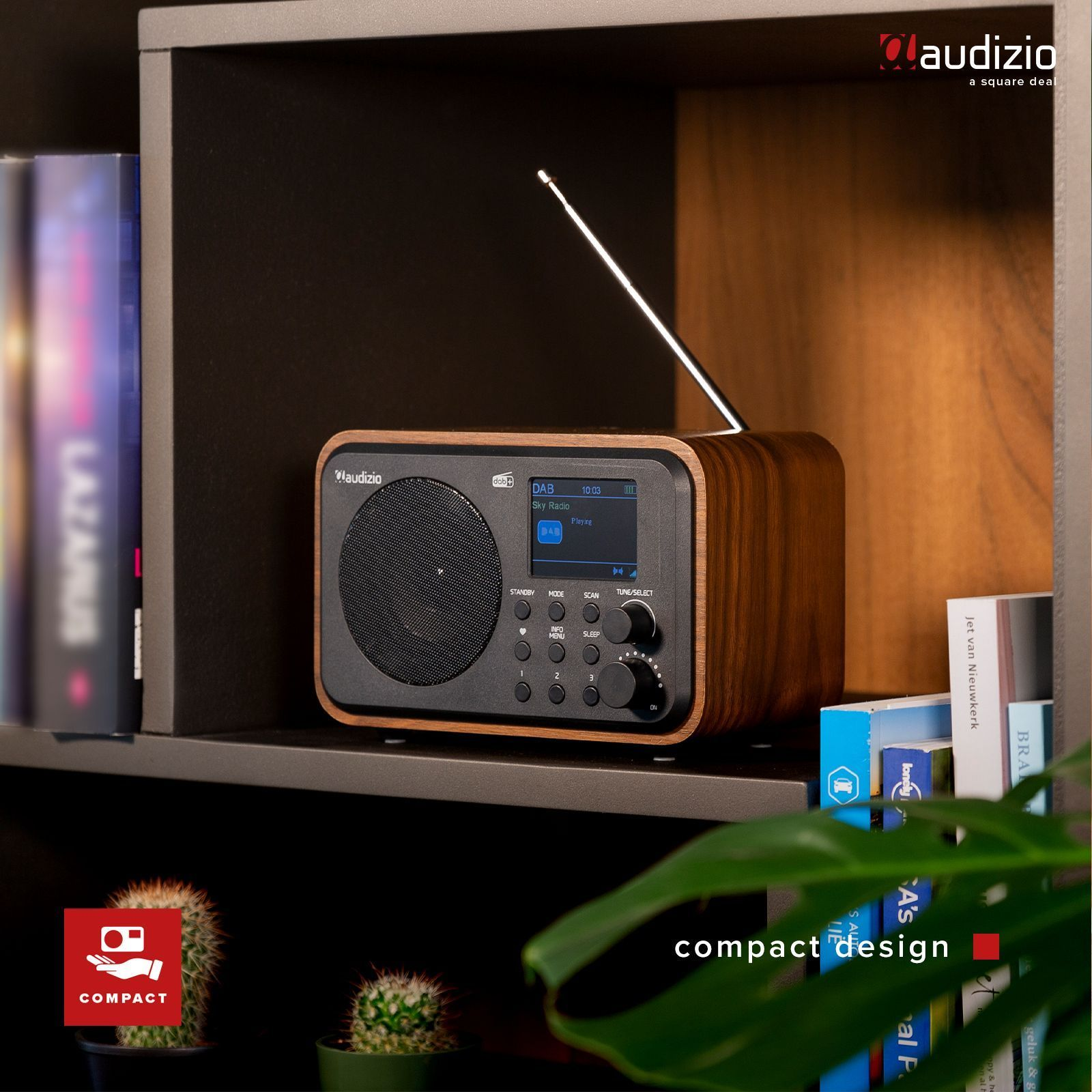 Holzradio auf Regal, Kaktus und Bücher daneben, weiße Antenne.