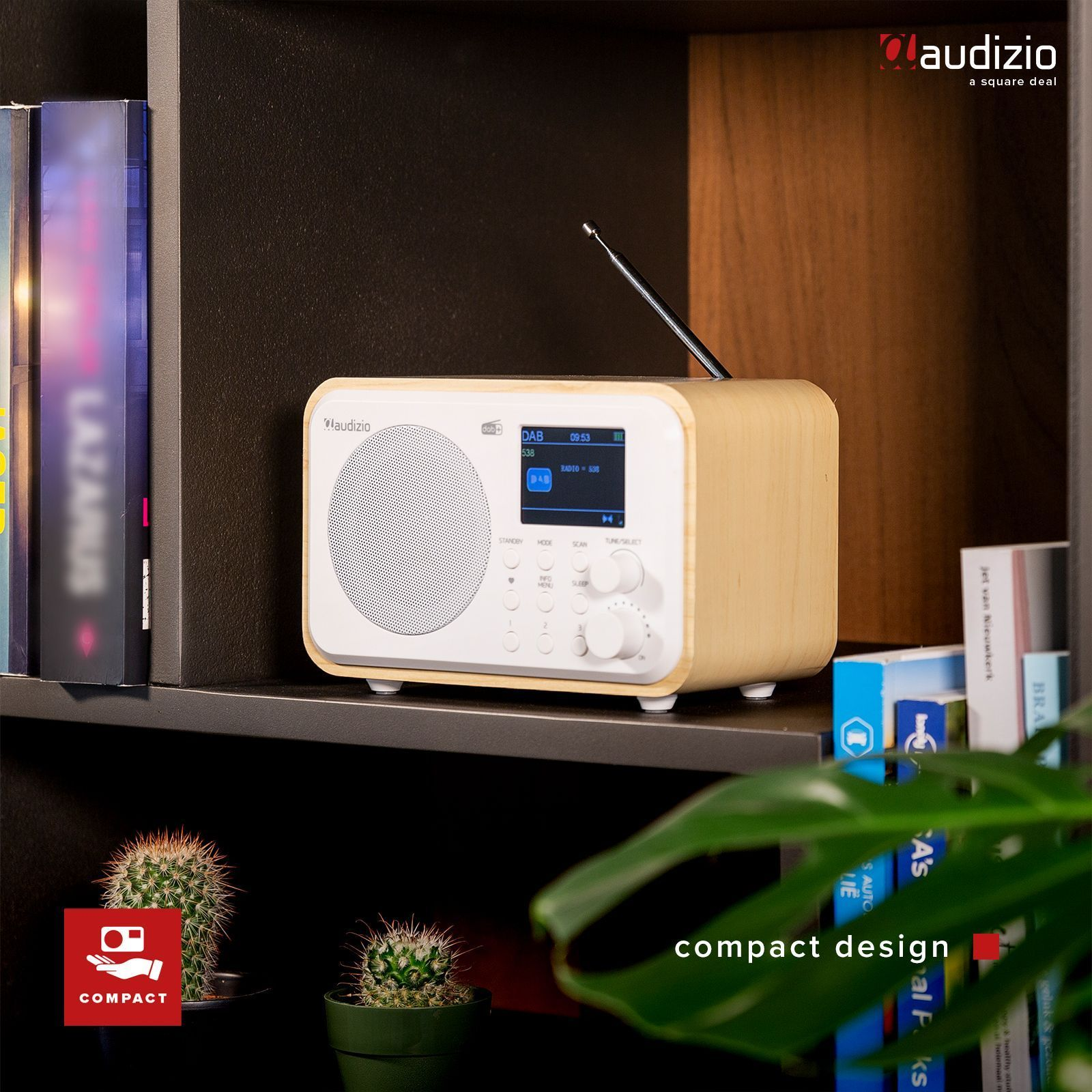 Radio pequeño de madera en estante. Libros y cactus lo rodean.