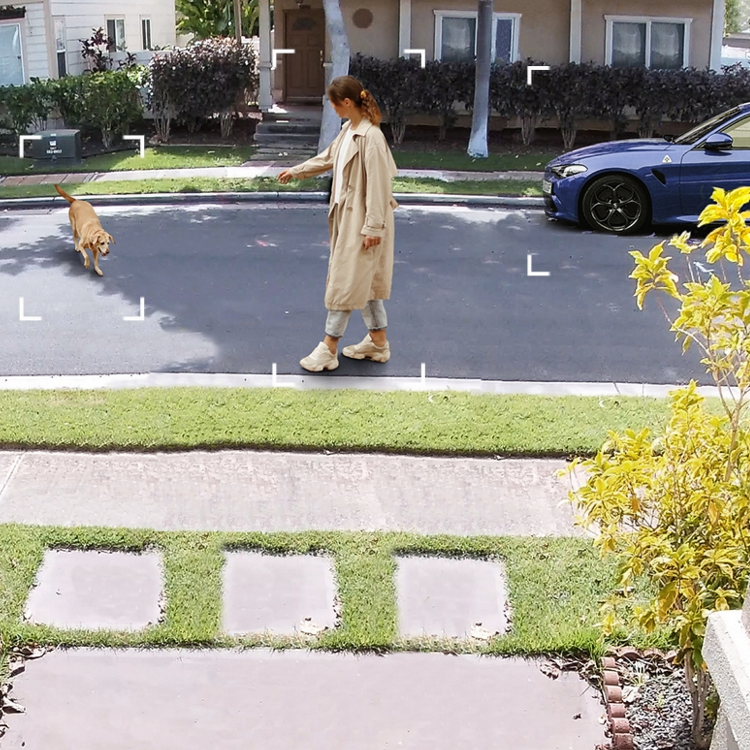 Kobieta z psem idzie ulicą. Po prawej stronie zaparkowany jest niebieski samochód.