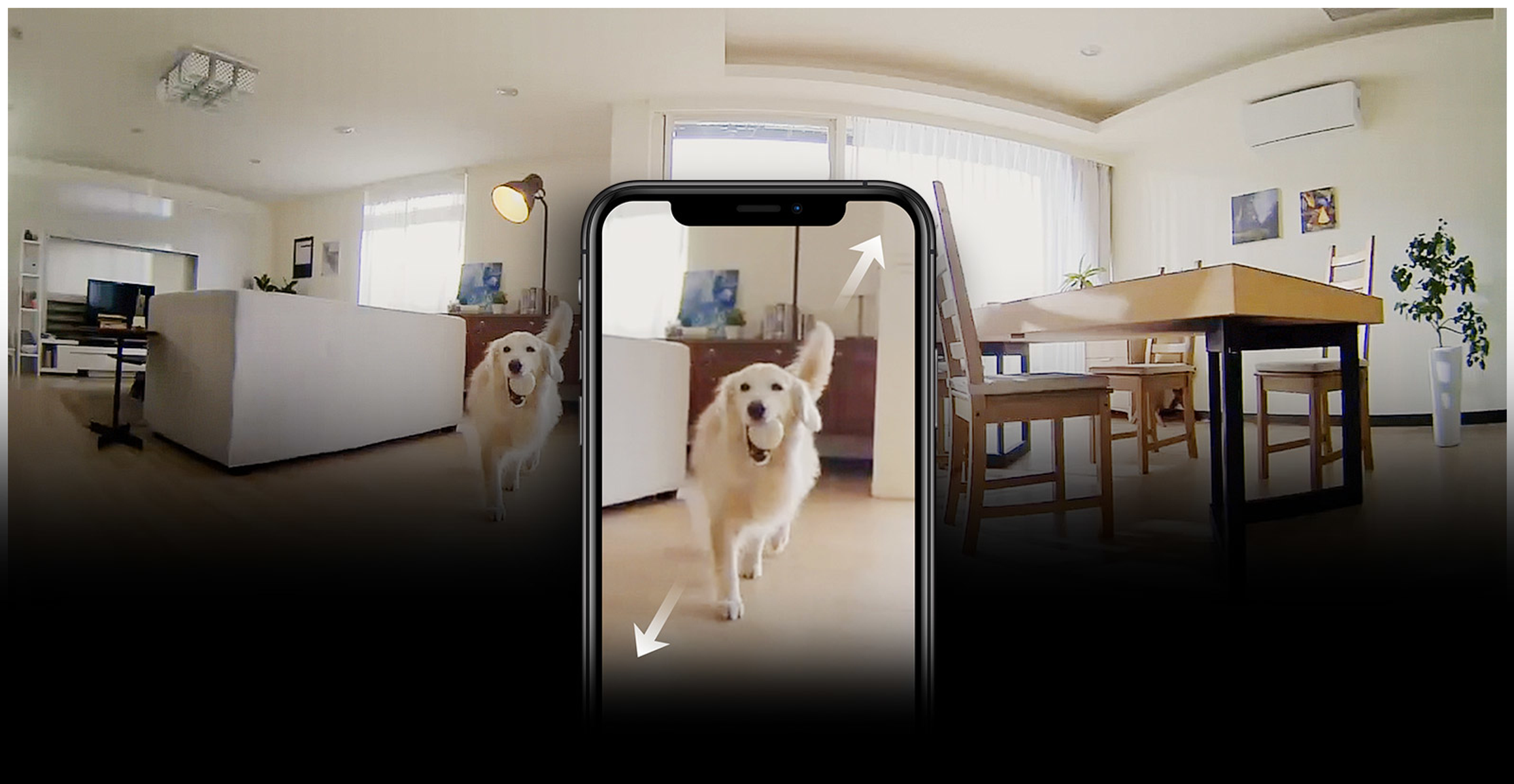 Uno schermo di smartphone che mostra un cane che corre al chiuso, con frecce che indicano la direzione della vista.