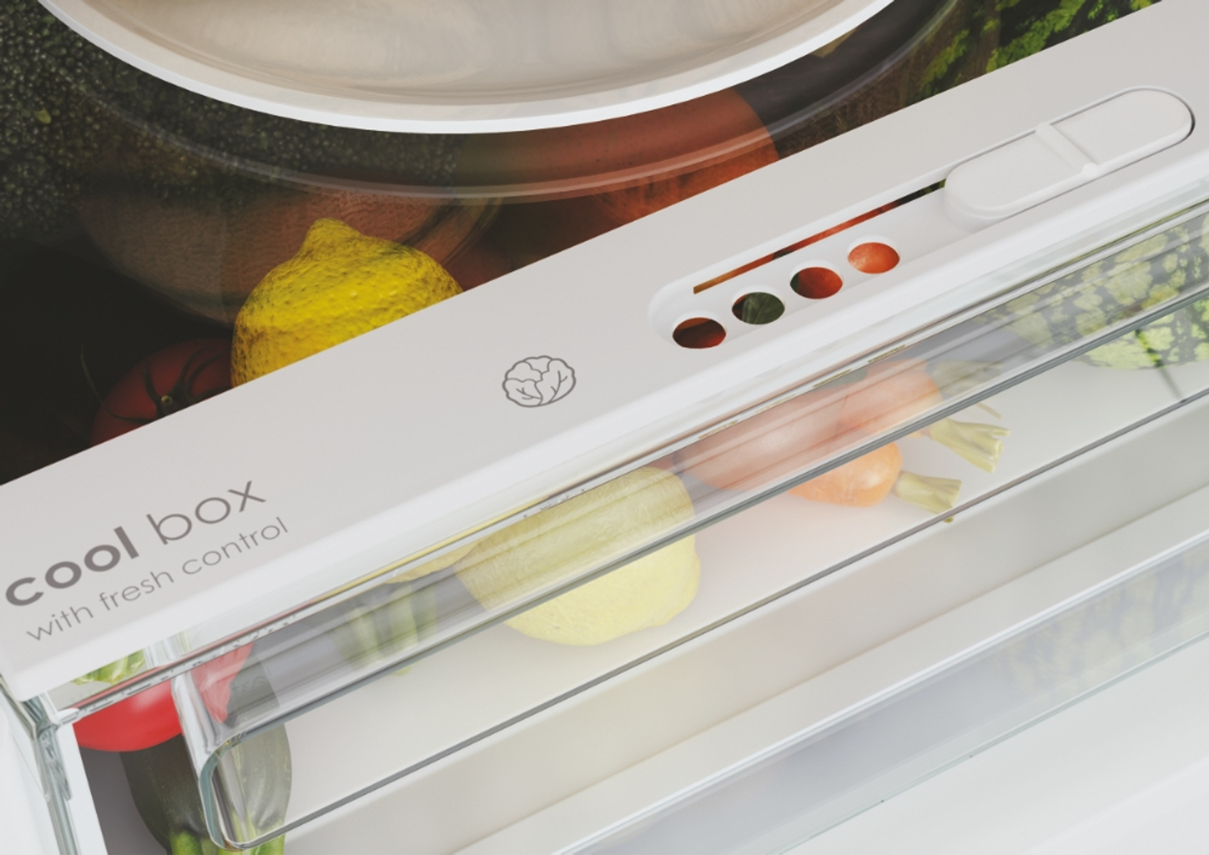 Cassetto del frigorifero con verdure fresche e coperchio in plastica bianca.