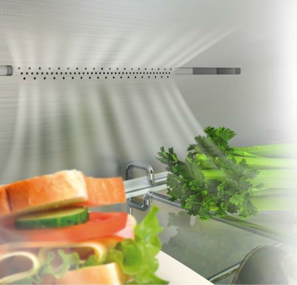 Dentro de un refrigerador. Un sándwich y apio son visibles. Se emite luz.