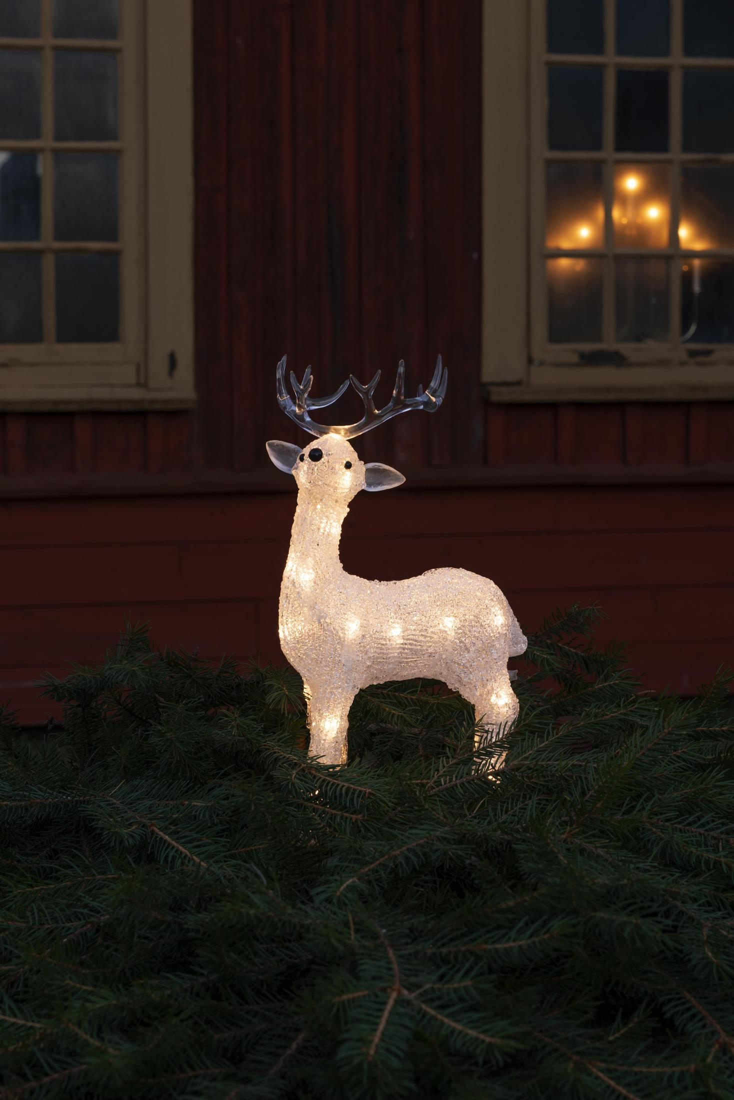 Eine Weihnachts-Rentier-Dekoration, beleuchtet mit Lichtern, auf einem grünen Busch vor einem roten Gebäude.