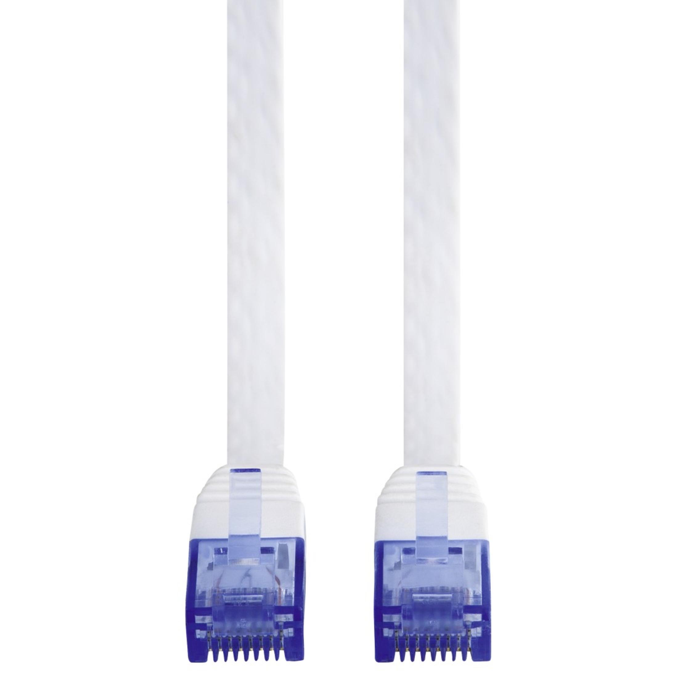 Due cavi di rete bianchi con connettori blu. Sfondo bianco e primo piano.