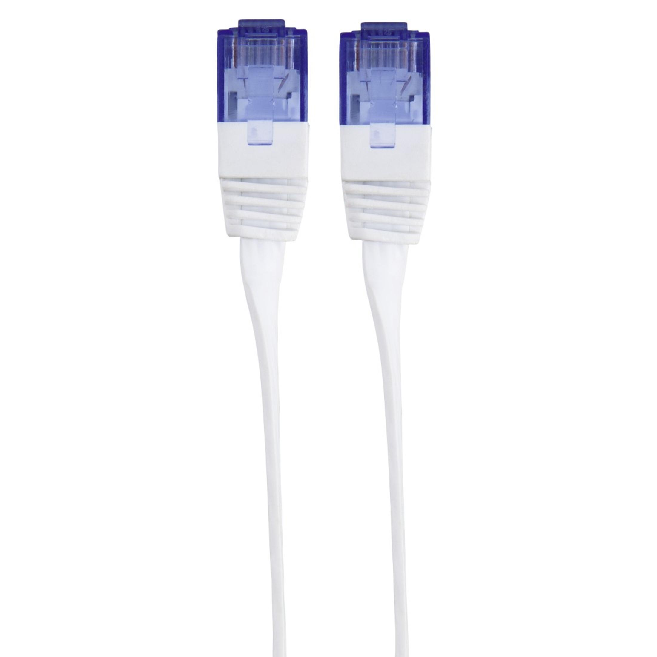 Due cavi di rete bianchi con connettori blu su sfondo bianco.